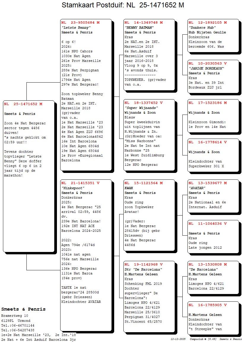 pedigree Letste Benny x Hinkepoot 