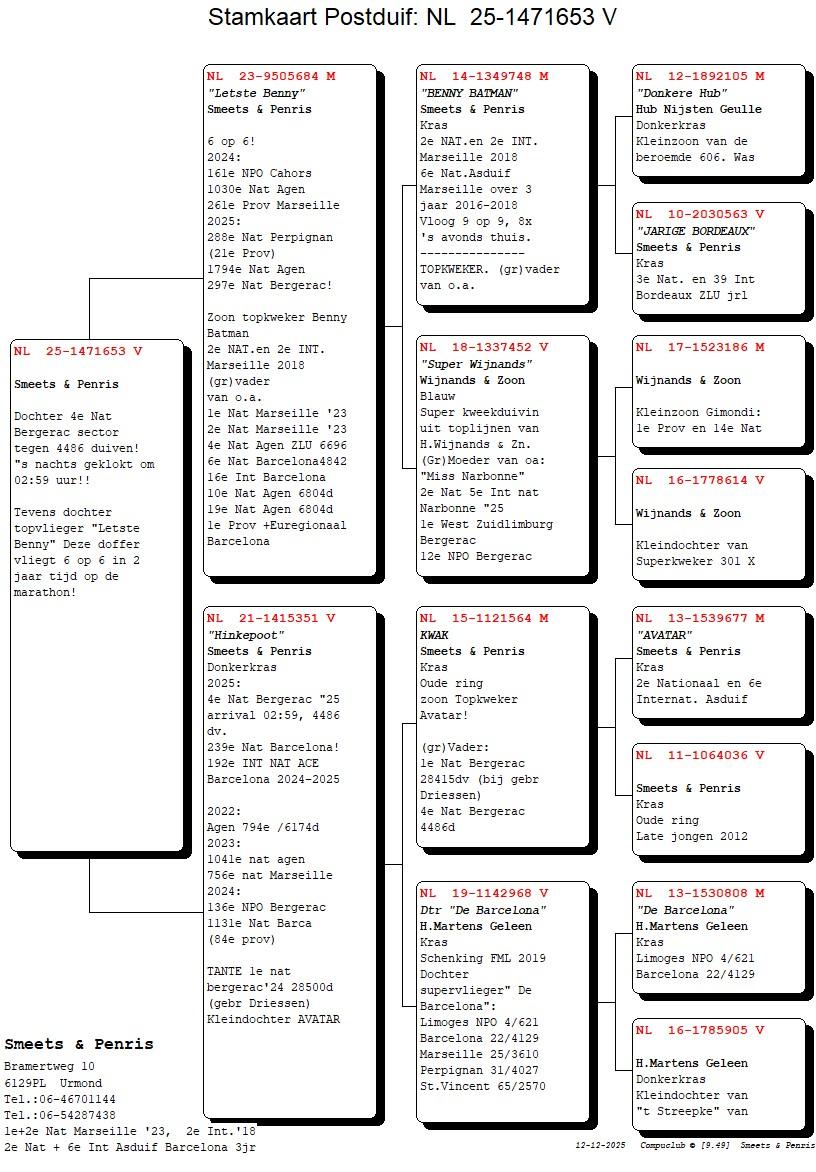 pedigree Letste Benny x Hinkepoot 