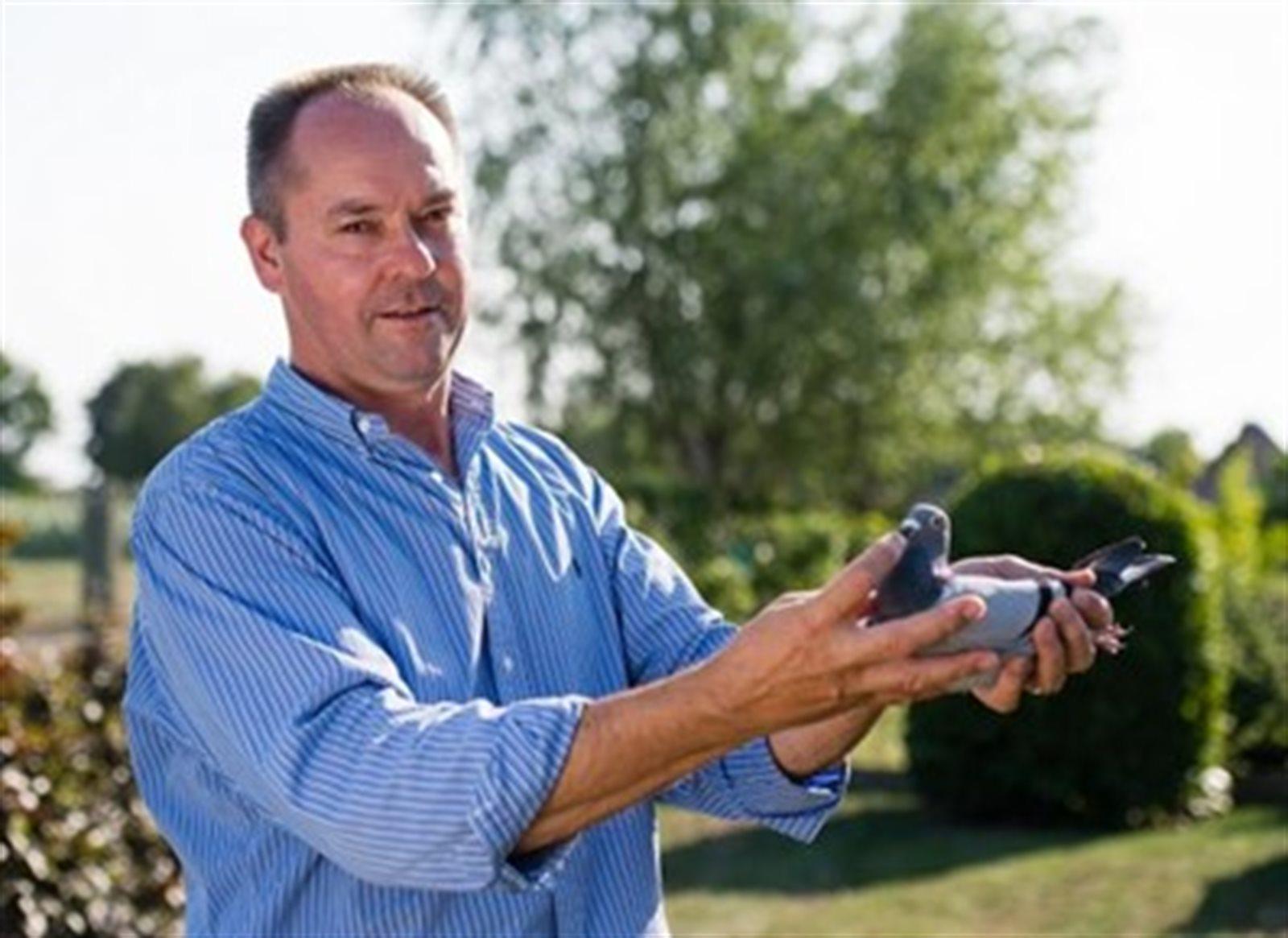 Debacker Chris, Beveren-Leie