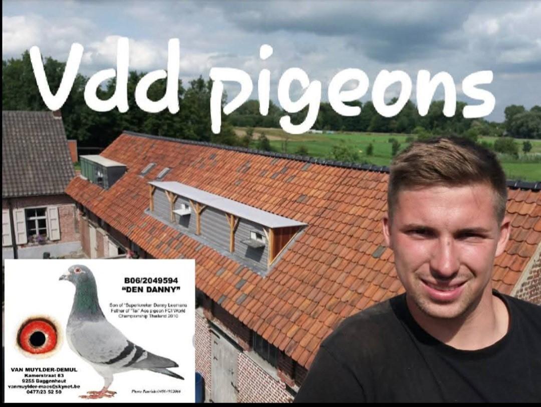 Van Den Driessche Niels, Aalst