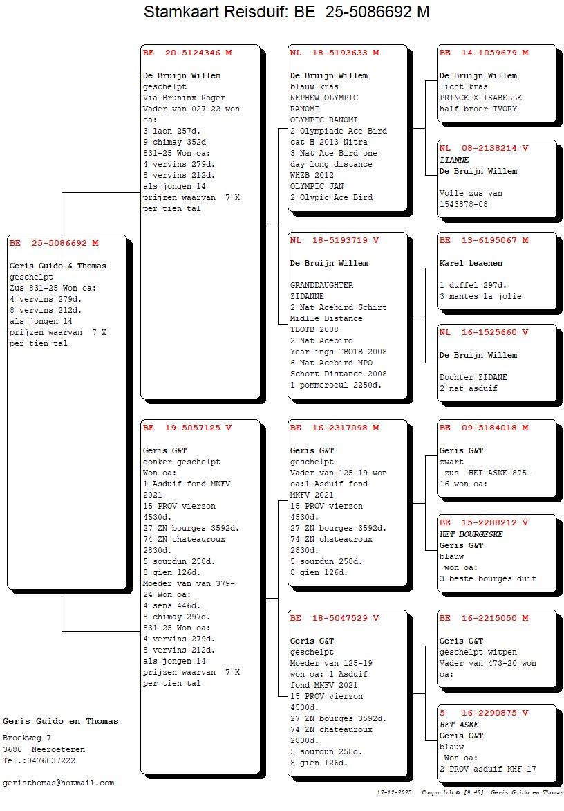 pedigree Lijn De Bruijn Willem x 1° As Fond MKFV ’21 