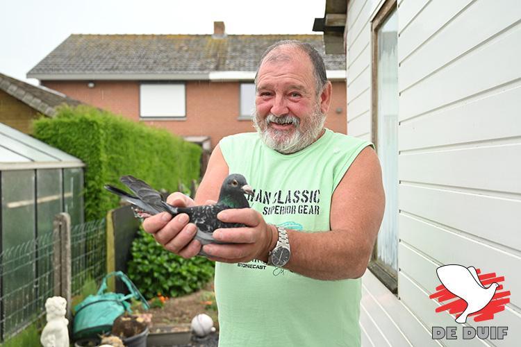 Vandriessche Luc, Kruisem