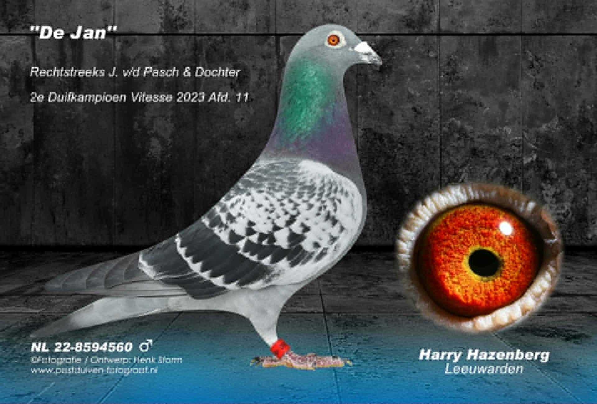 Harry Hazenberg(Leeuwarden) schenkt een koppel jonge duiven 1é ronde 2026  - Familie