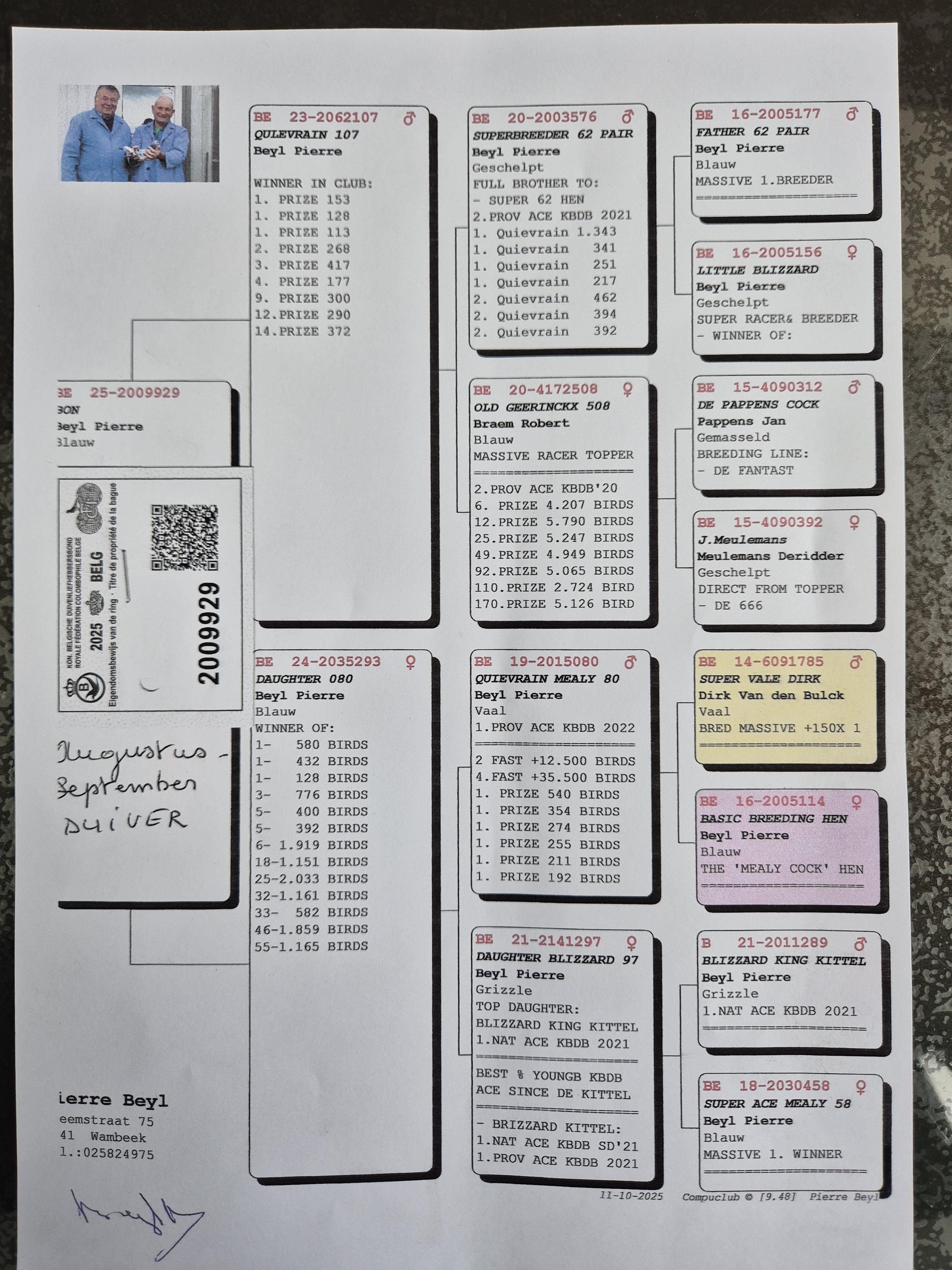 pedigree 01: Beyl Pierre (Wambeek) - Duiver BE-25-2009929 (aug) ter plaatse (TOP-PEDIGREE)