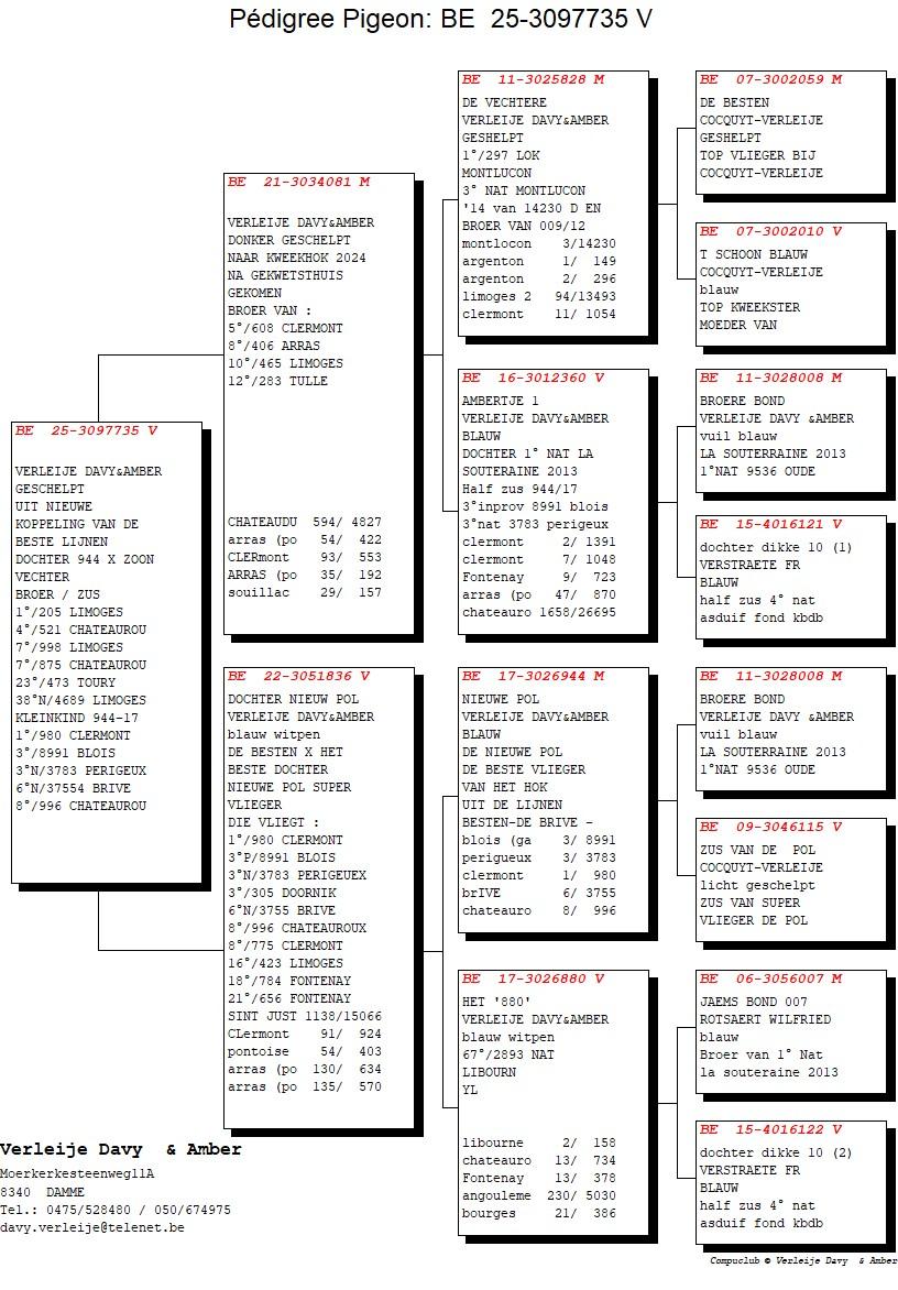 pedigree Zoon 3° Nat x Dochter Nieuwe Pol 