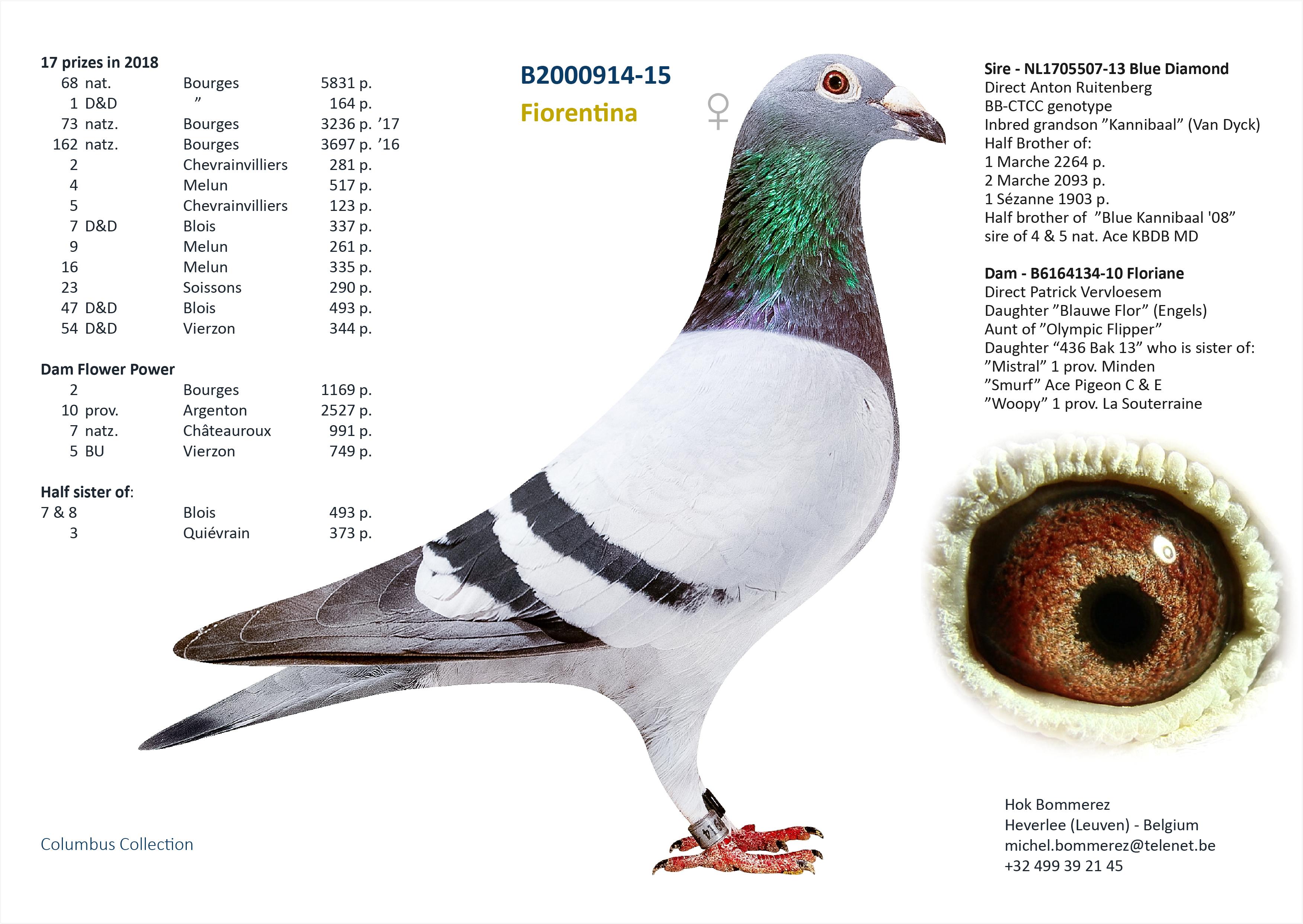 ”Flower Power”, topper met 8 nat. zone Bourges 4514 d. - 5 prov. Vierzon 749 d. - 7 nat. zone Châteauroux 991 d. - Familie