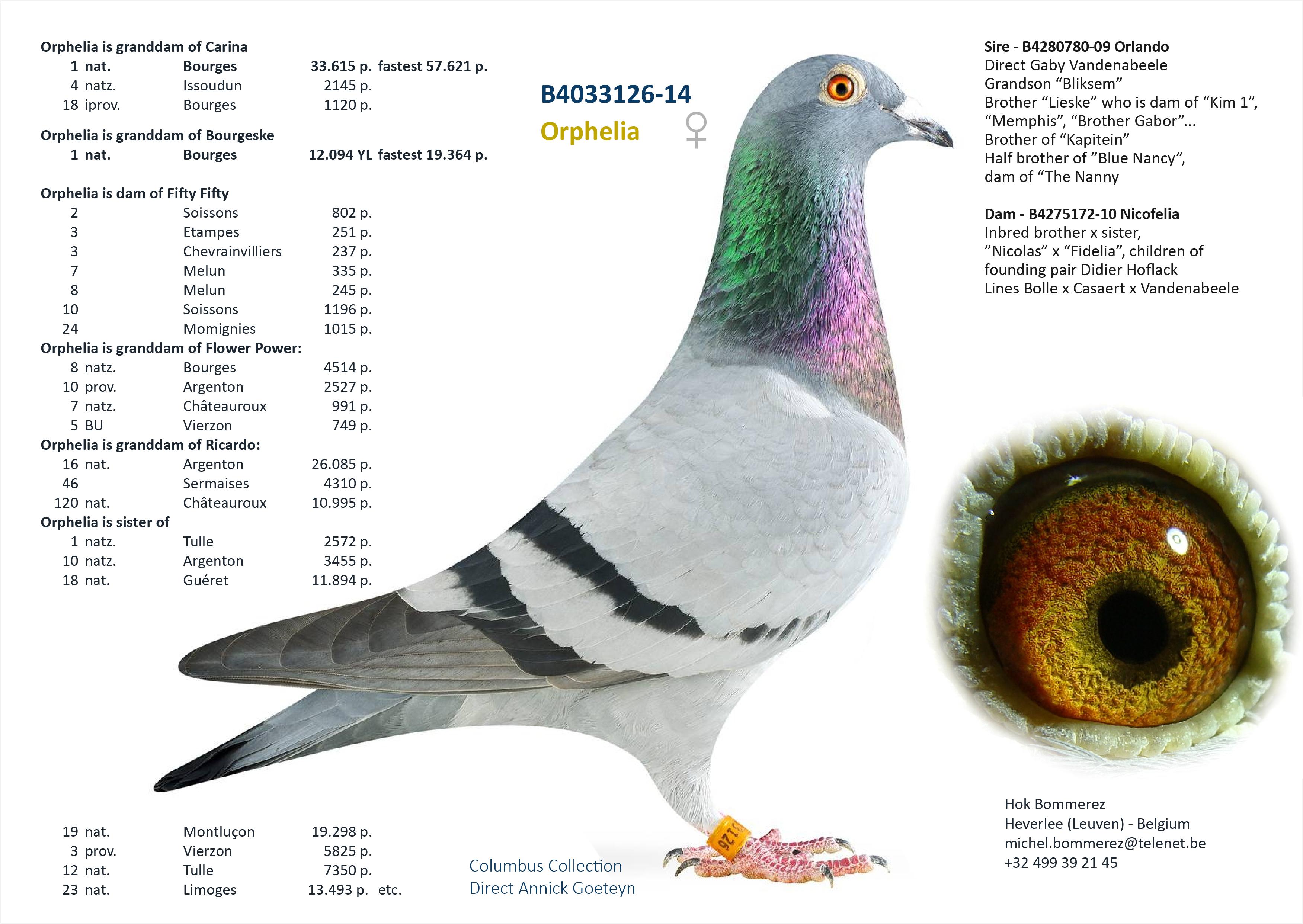 ”Flower Power”, topper met 8 nat. zone Bourges 4514 d. - 5 prov. Vierzon 749 d. - 7 nat. zone Châteauroux 991 d. - Familie