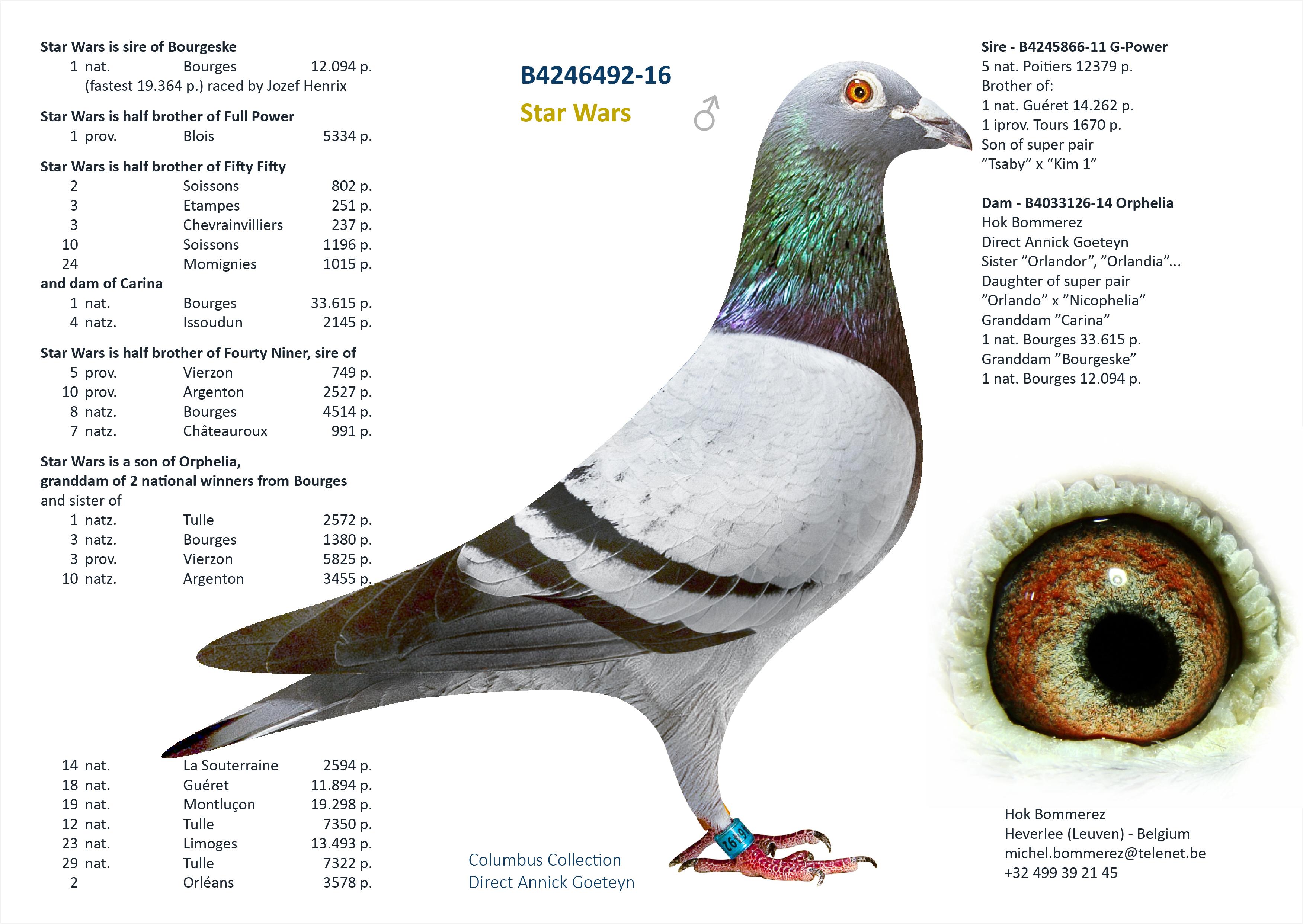 “Orfano”, uit Vader 1 nat. Bourges 12.094 d. x Volle zus 1 nat. Bourges 33.410 d. - Familie
