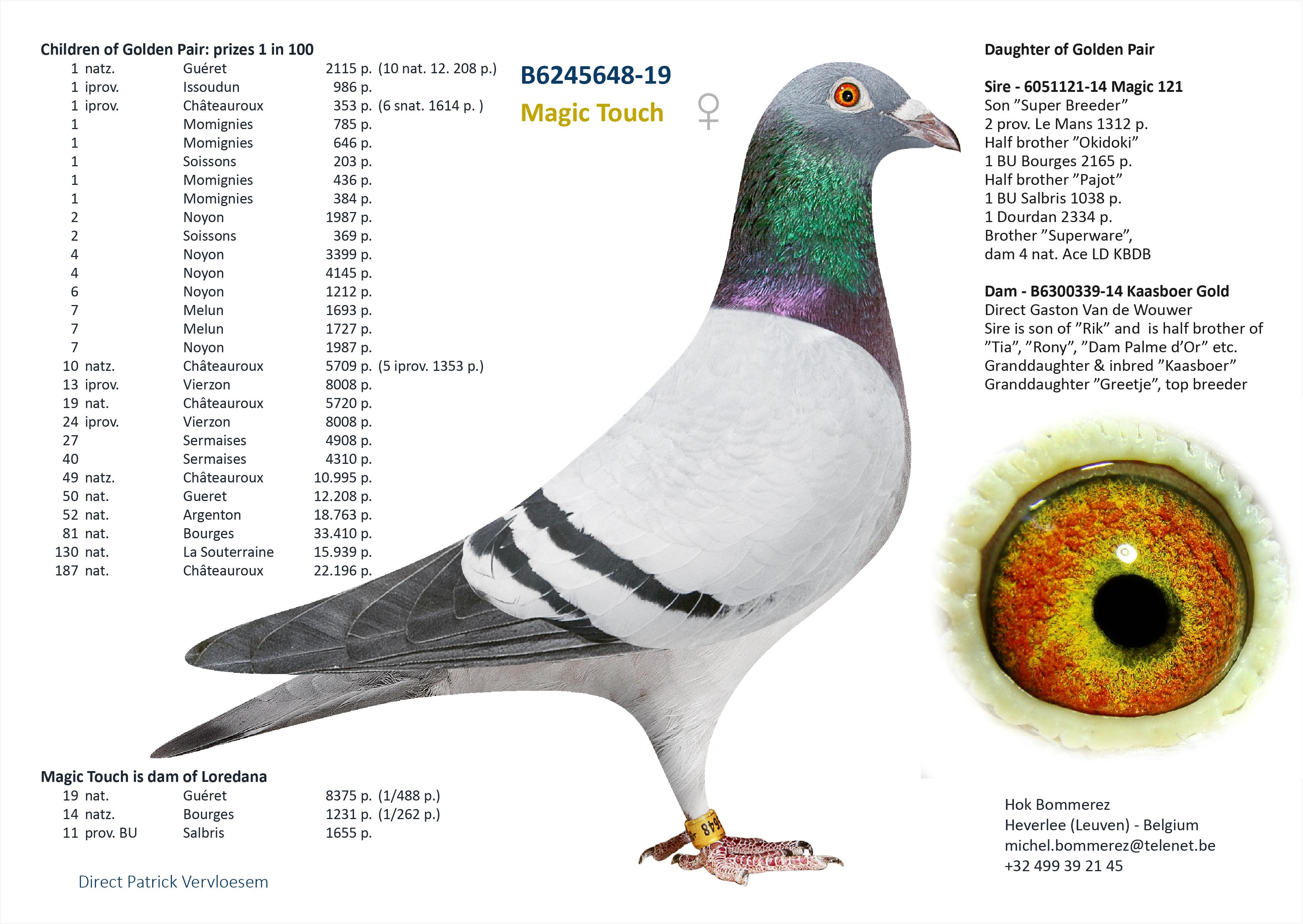 “Shag”, zeldzaam genotype AA-CCCT - Halfbroer van 1 nat. Bourges 33.410 d. - Familie
