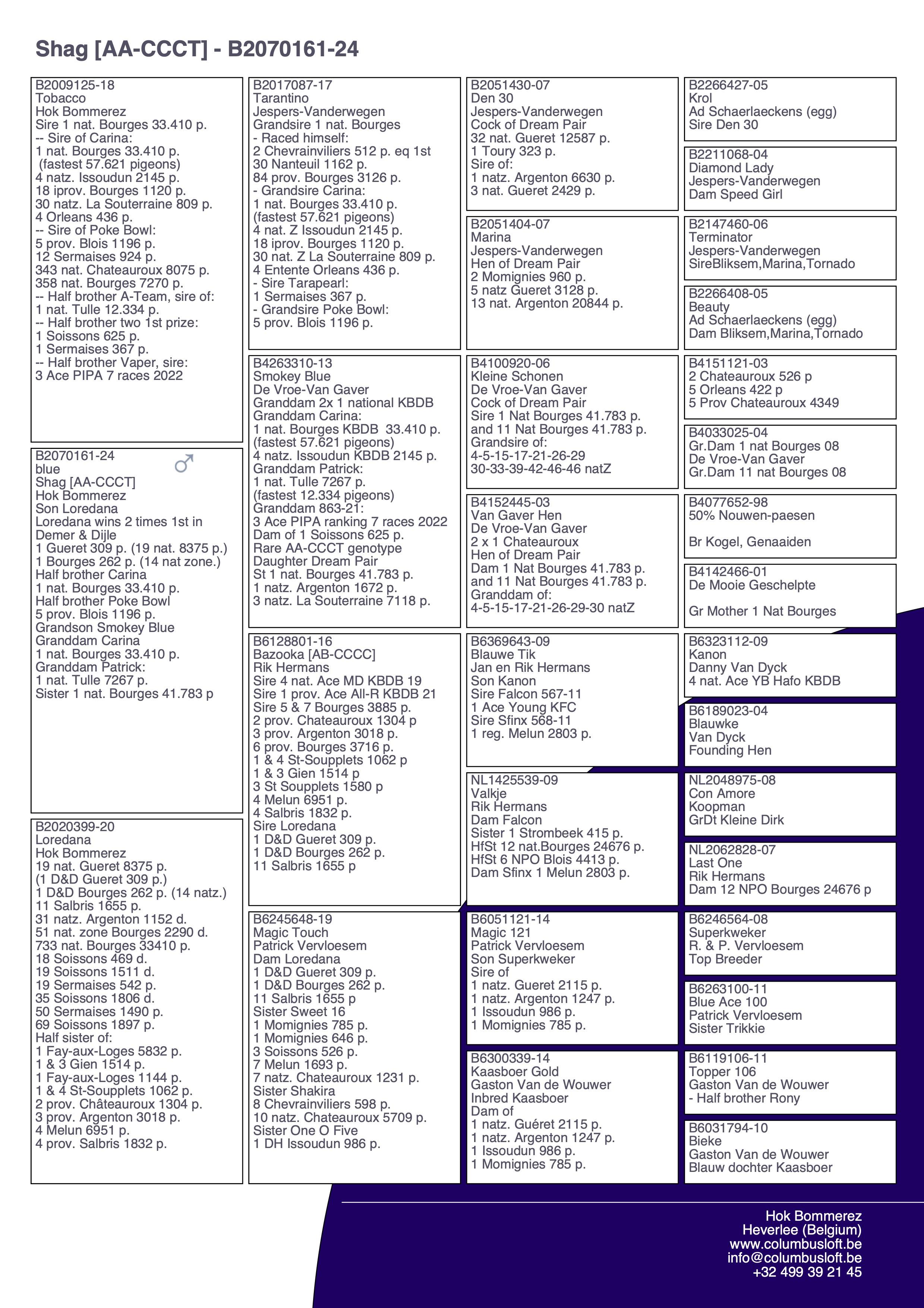 pedigree “Shag”, zeldzaam genotype AA-CCCT - Halfbroer van 1 nat. Bourges 33.410 d.