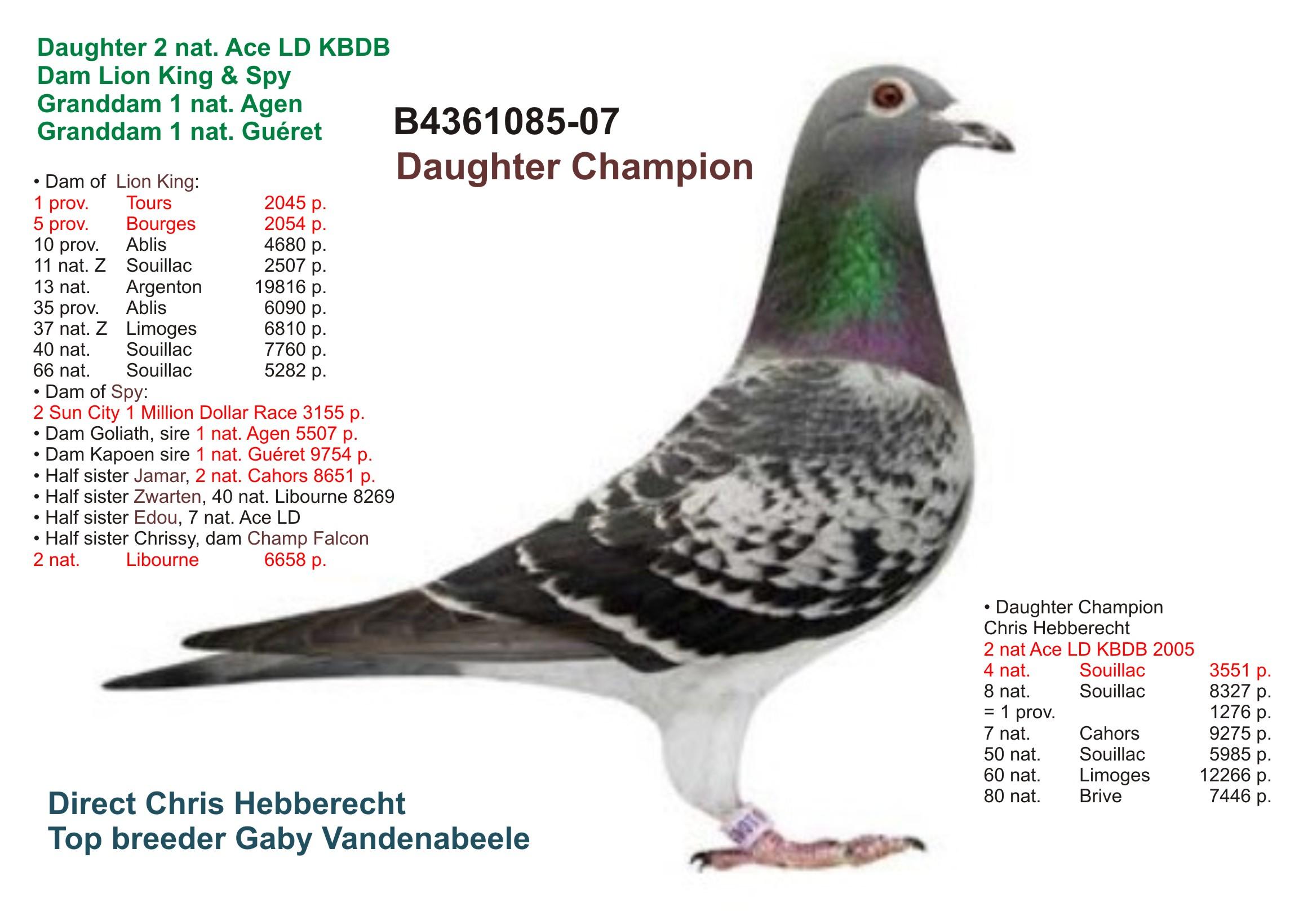 “Black Fox", AB-CCCC, halfbroer Wifi (grootmoeder 1 nat. Asduif en 1 nat. Bourges) - Familie