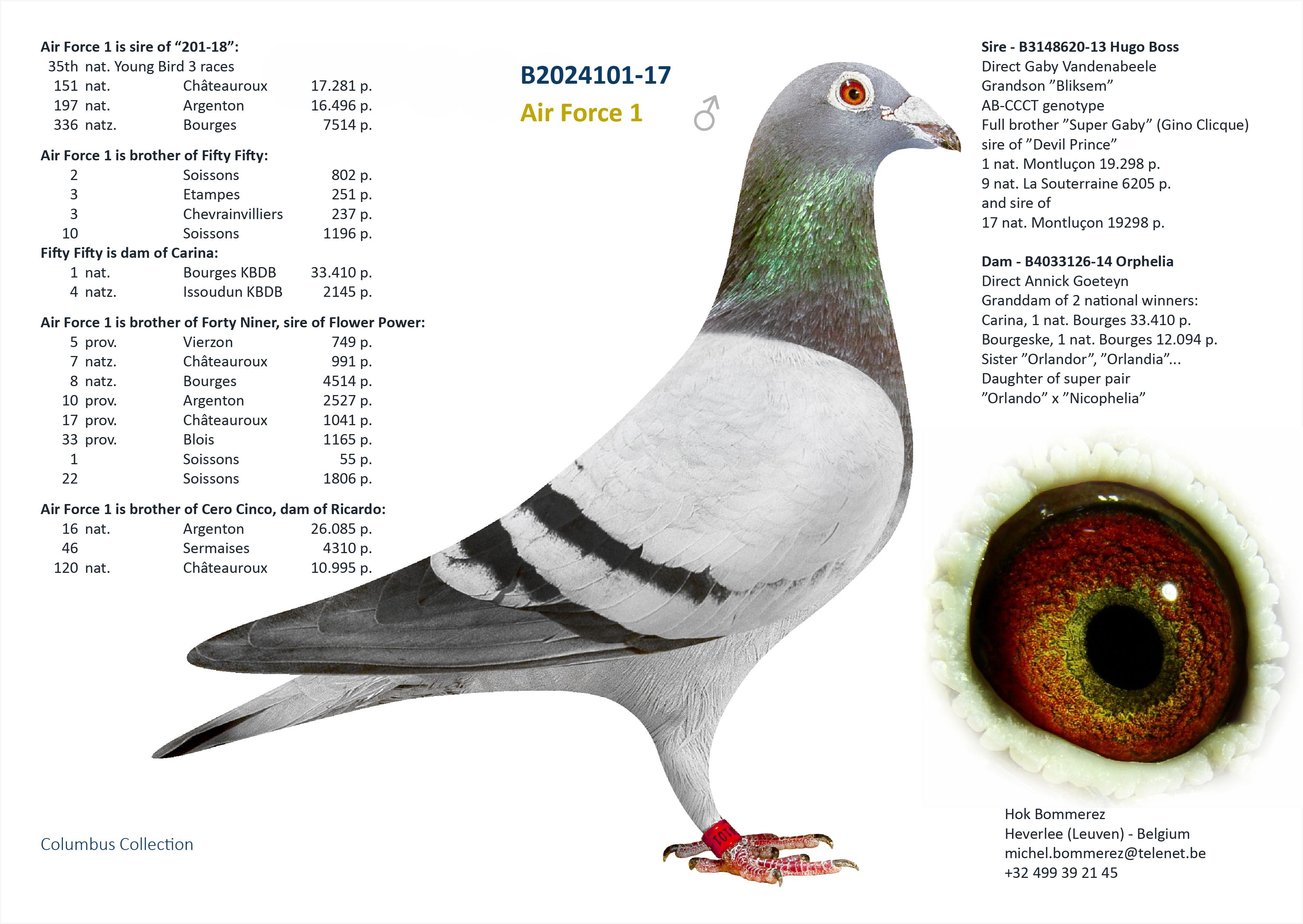 “Delta", kleindochter “Orphelia”, grootmoeder van twee nationale Bourges winnaars - Familie
