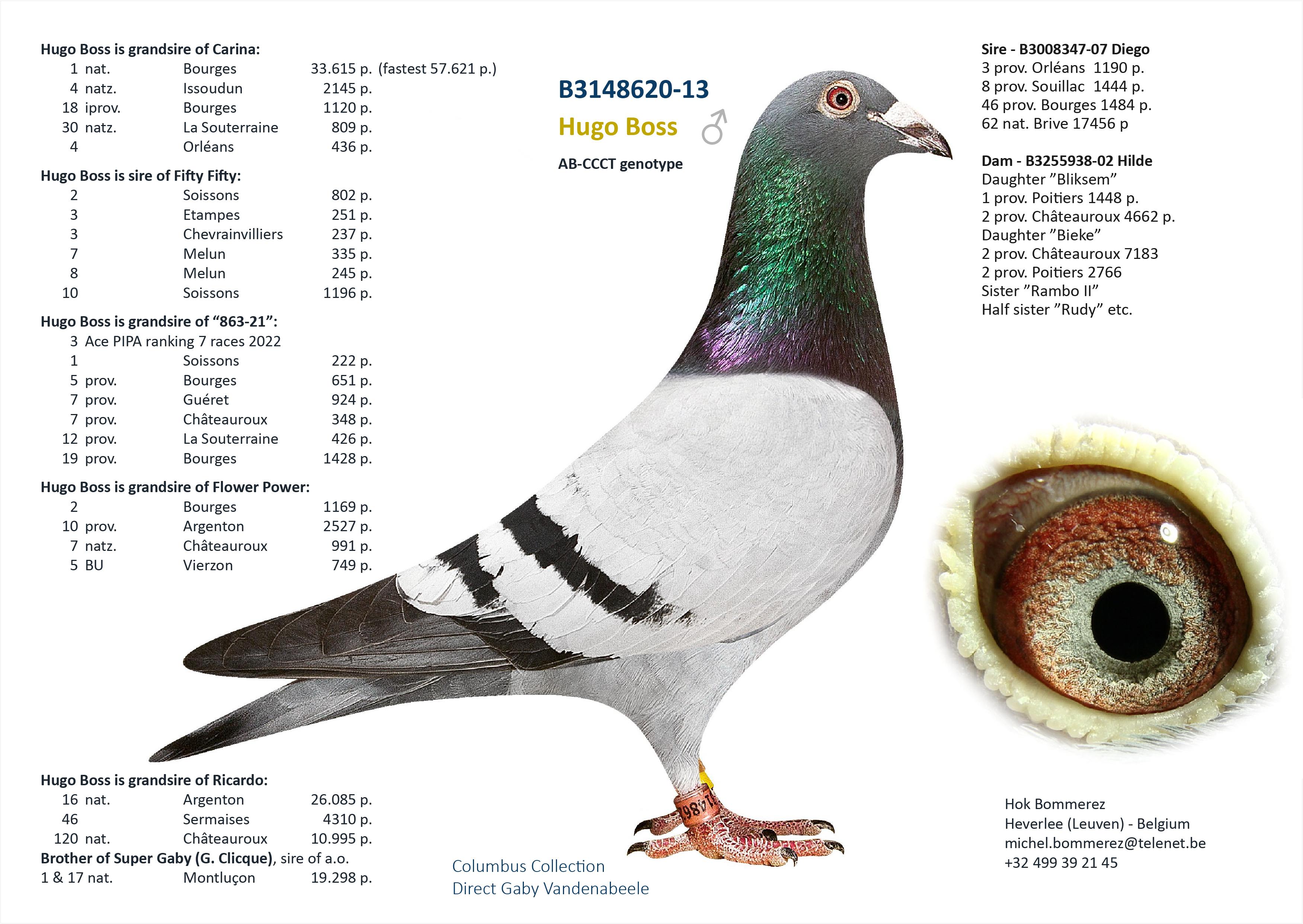 “Delta", kleindochter “Orphelia”, grootmoeder van twee nationale Bourges winnaars - Familie