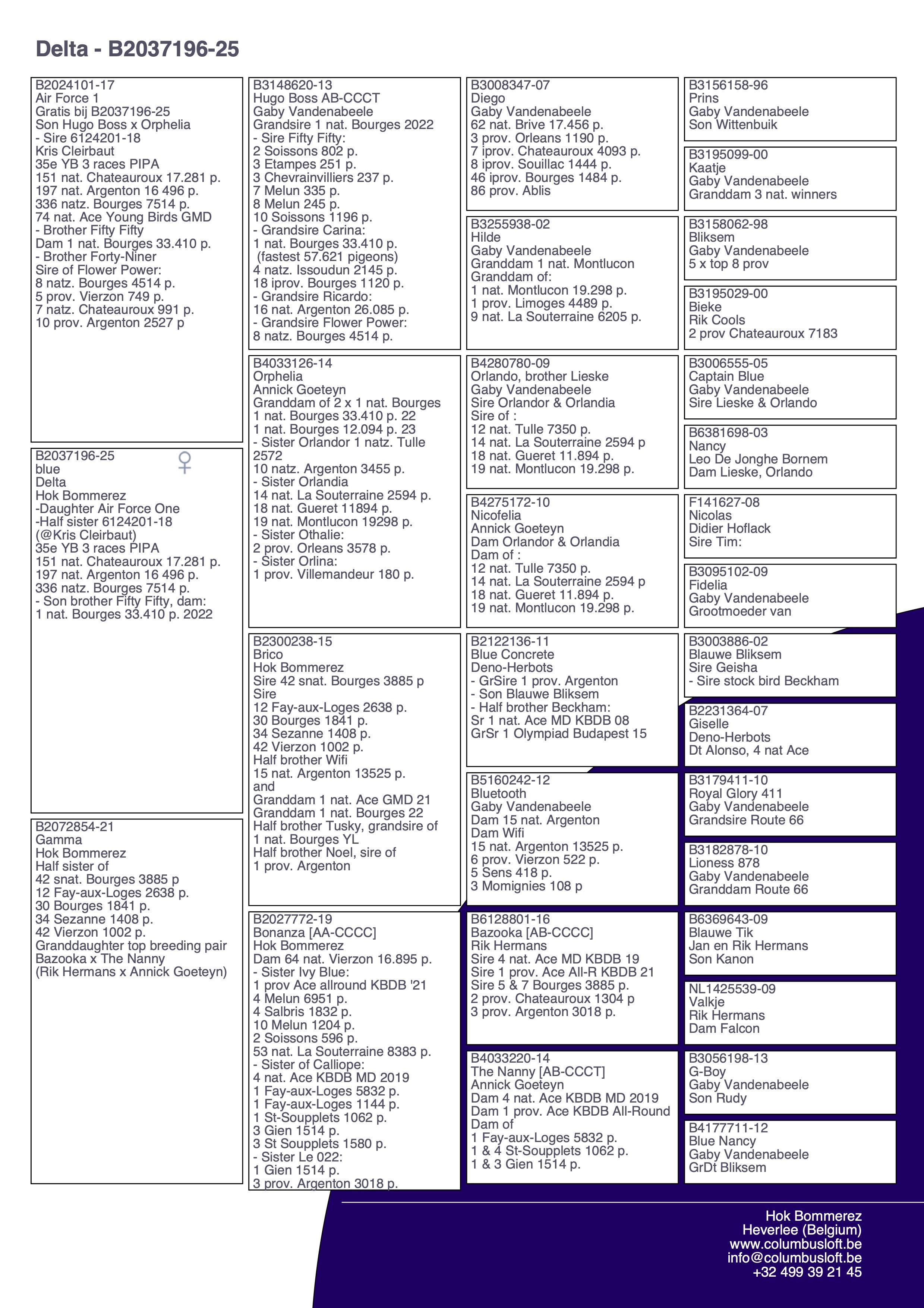 pedigree “Delta", kleindochter “Orphelia”, grootmoeder van twee nationale Bourges winnaars