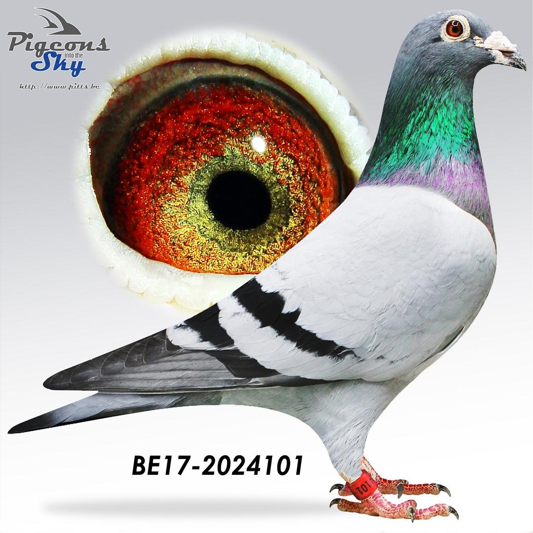 “Air Force 1", volle broer van Moeder 1 nat. Bourges 33.410 d., gratis bij B2037196-25