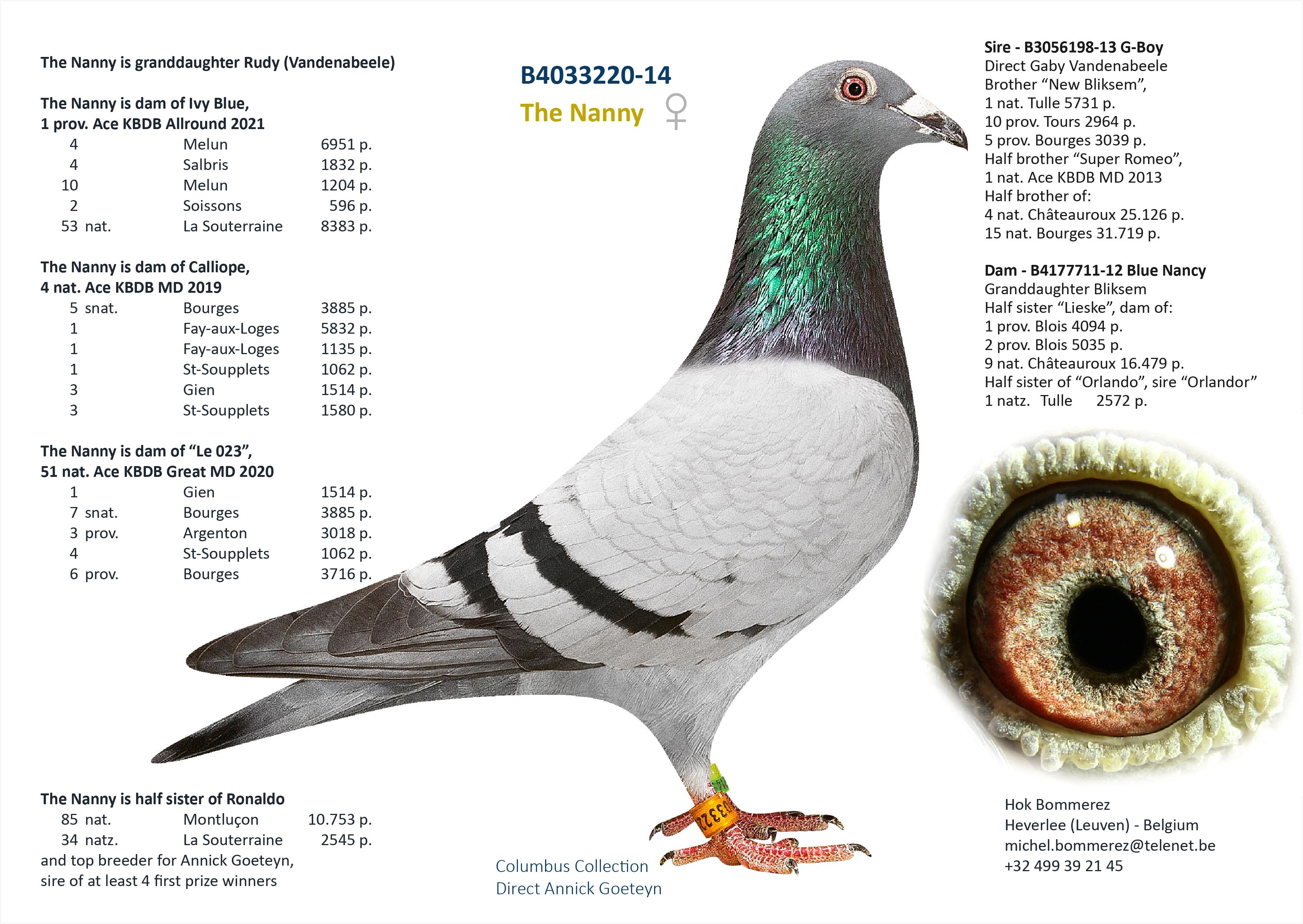 “Gamma" (Genotype: AB-CCCC), kleindochter topkoppel Bazooka x Nanny - Familie