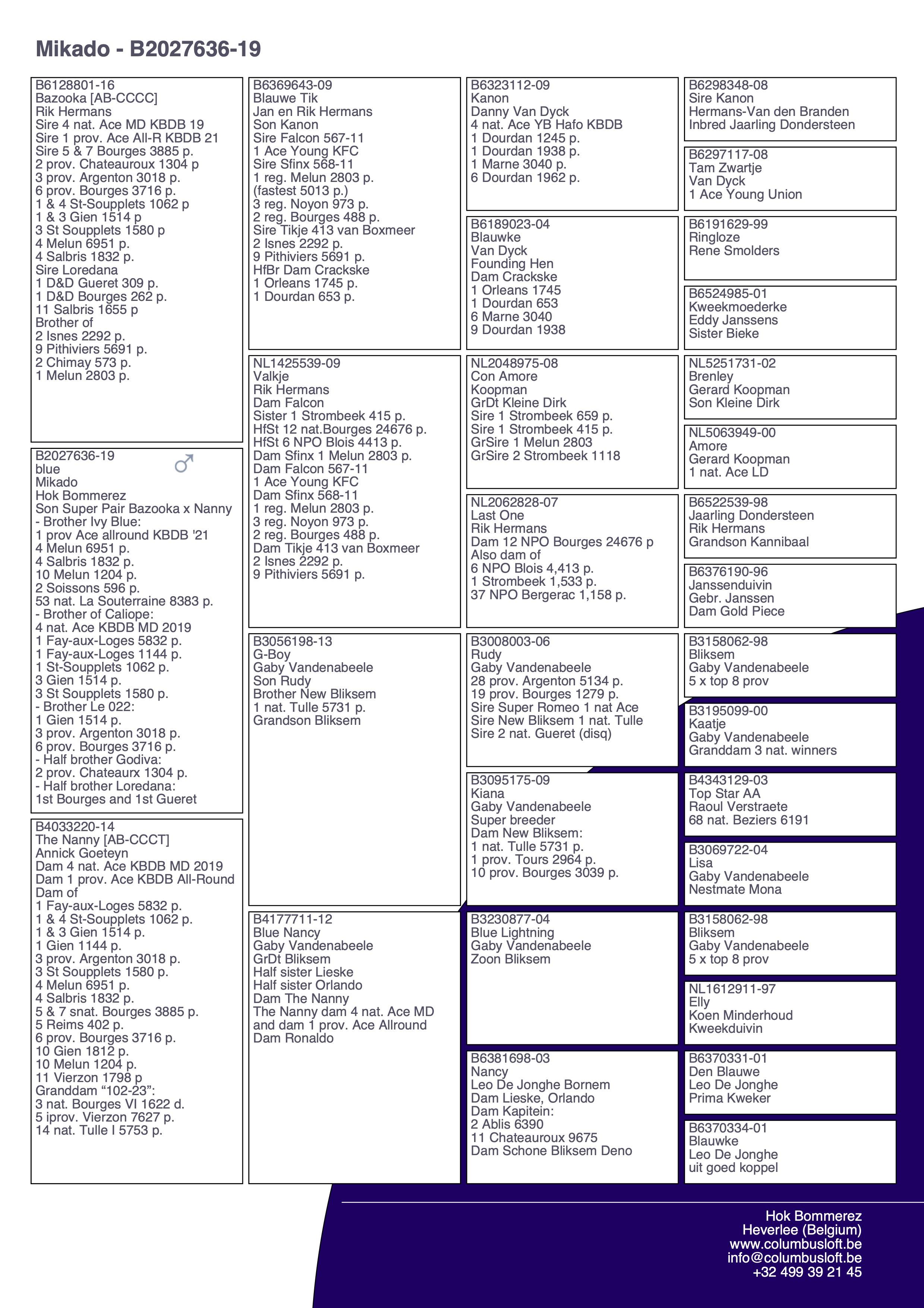 pedigree “Mikado", broer  van 1 prov. Asduif All-Round KBDB 2021 en 4 nat. Asduif HaFo KBDB 2019