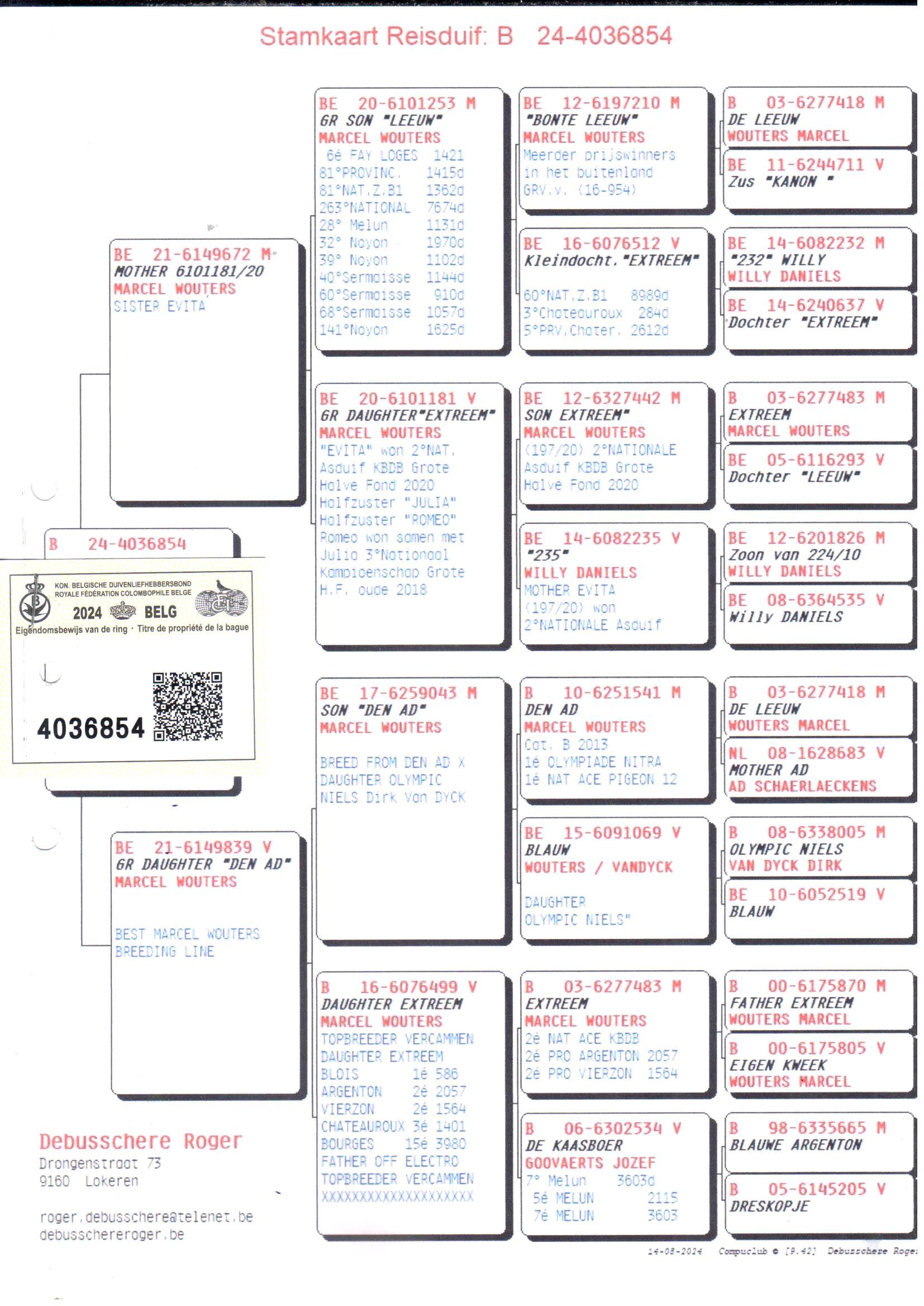 pedigree Achterkleinzoon De Leeuw x Kleindochter Den Ad 