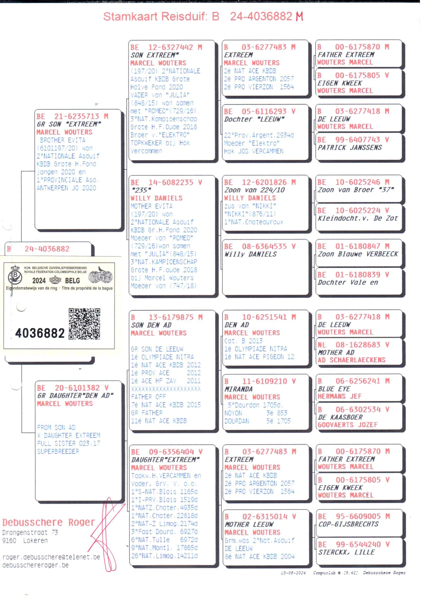 pedigree Kleinzoon Extreem x Kleindochter Den Ad 