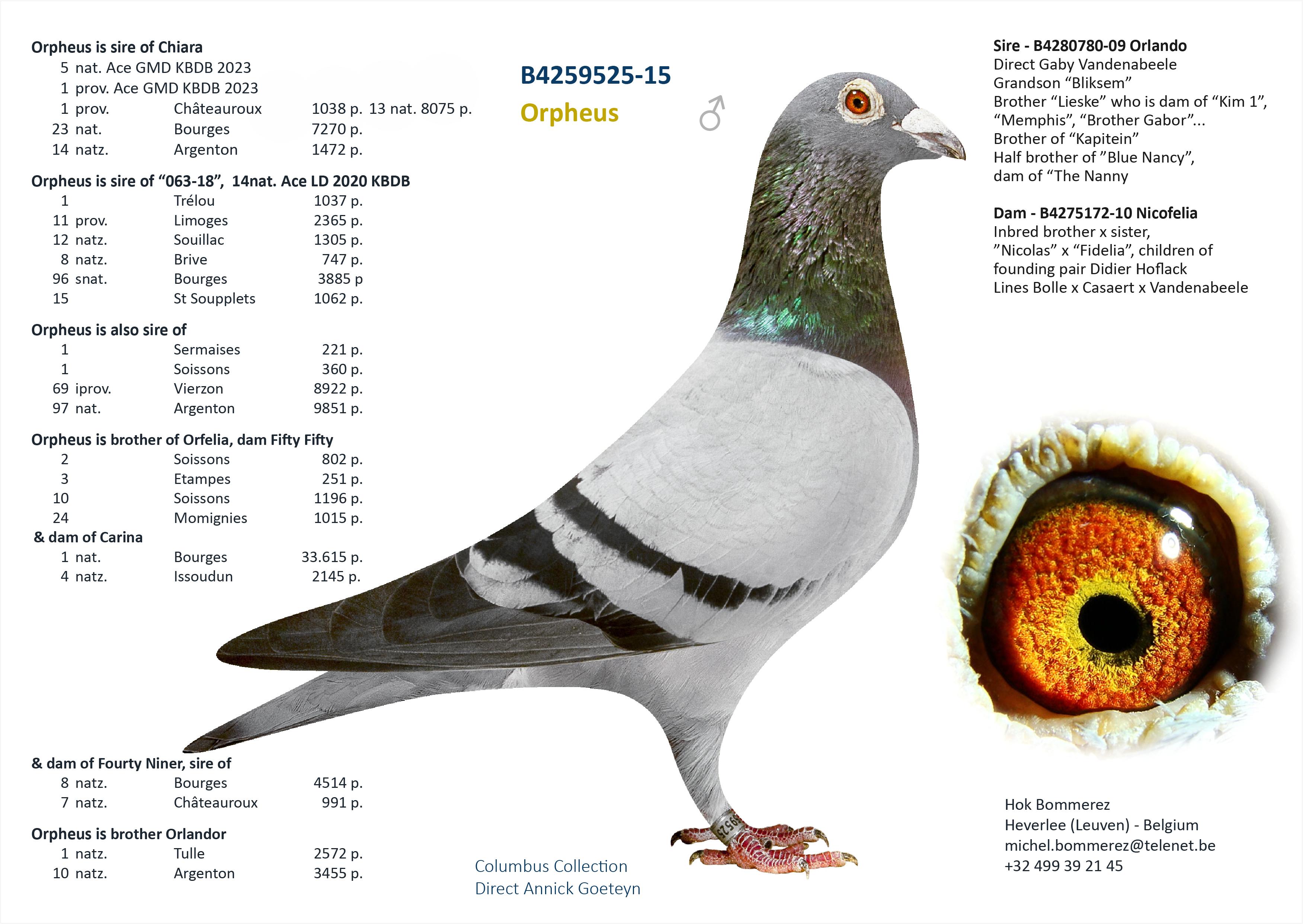 “Victoria"  - dochter “Tiny Rebel” 1 prov. BU Argenton 1559 d. - 3 prov. Salbris 1655 d. - 8 nat. zone Bourges 4514 d. - Familie