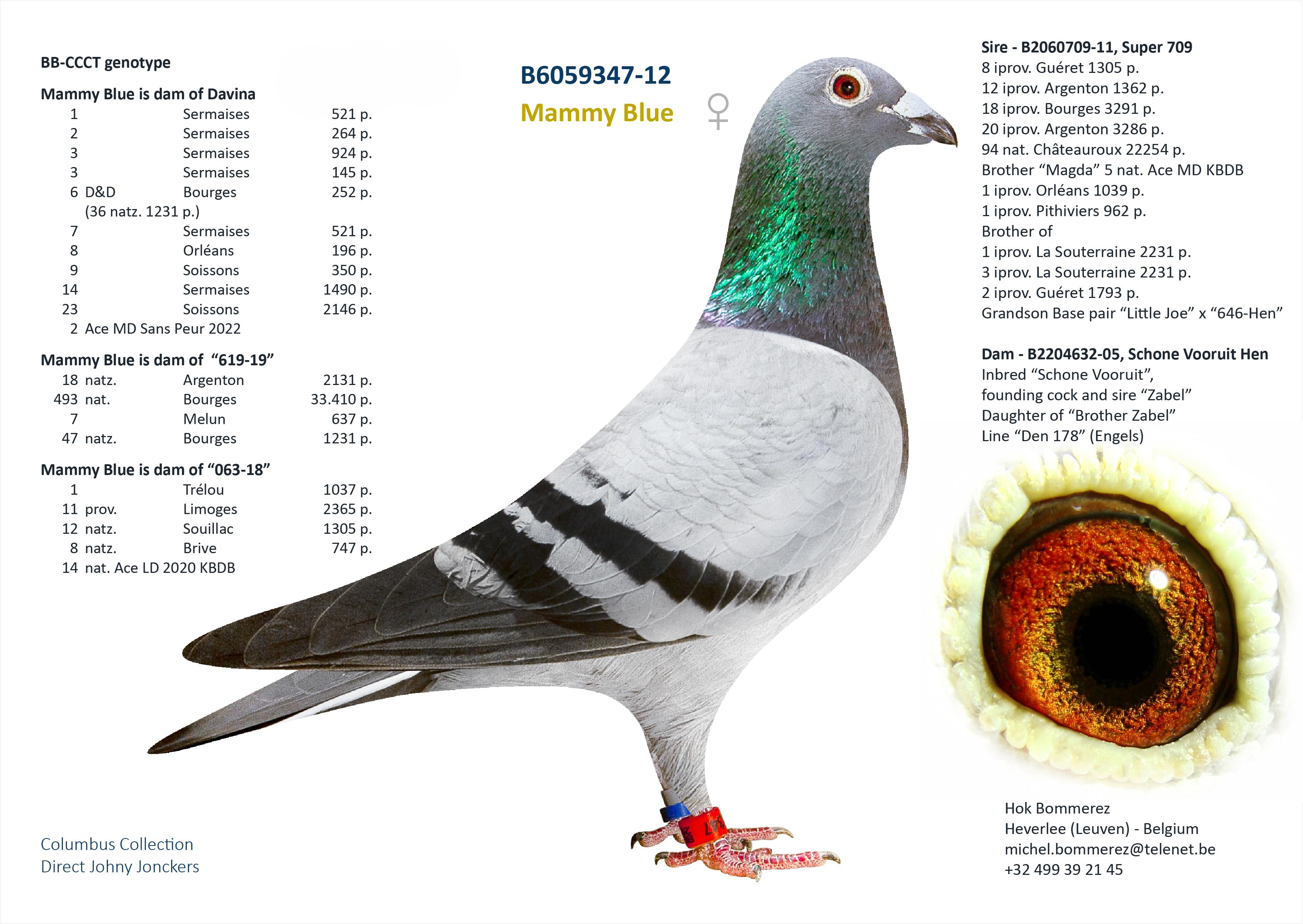 “Victoria"  - dochter “Tiny Rebel” 1 prov. BU Argenton 1559 d. - 3 prov. Salbris 1655 d. - 8 nat. zone Bourges 4514 d. - Familie