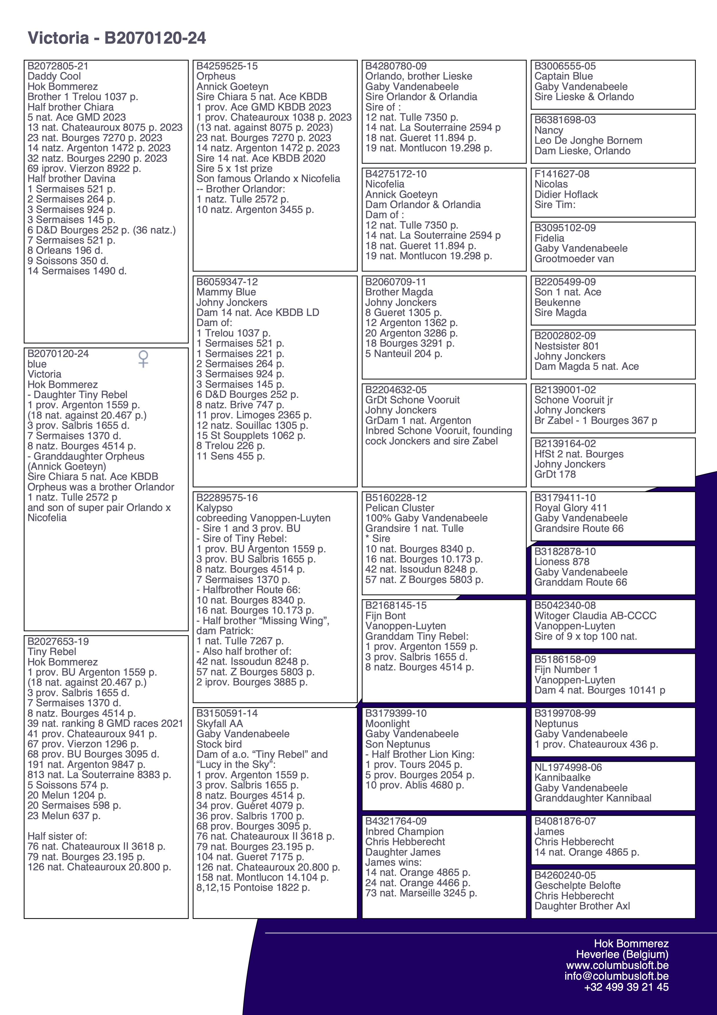 pedigree “Victoria"  - dochter “Tiny Rebel” 1 prov. BU Argenton 1559 d. - 3 prov. Salbris 1655 d. - 8 nat. zone Bourges 4514 d.