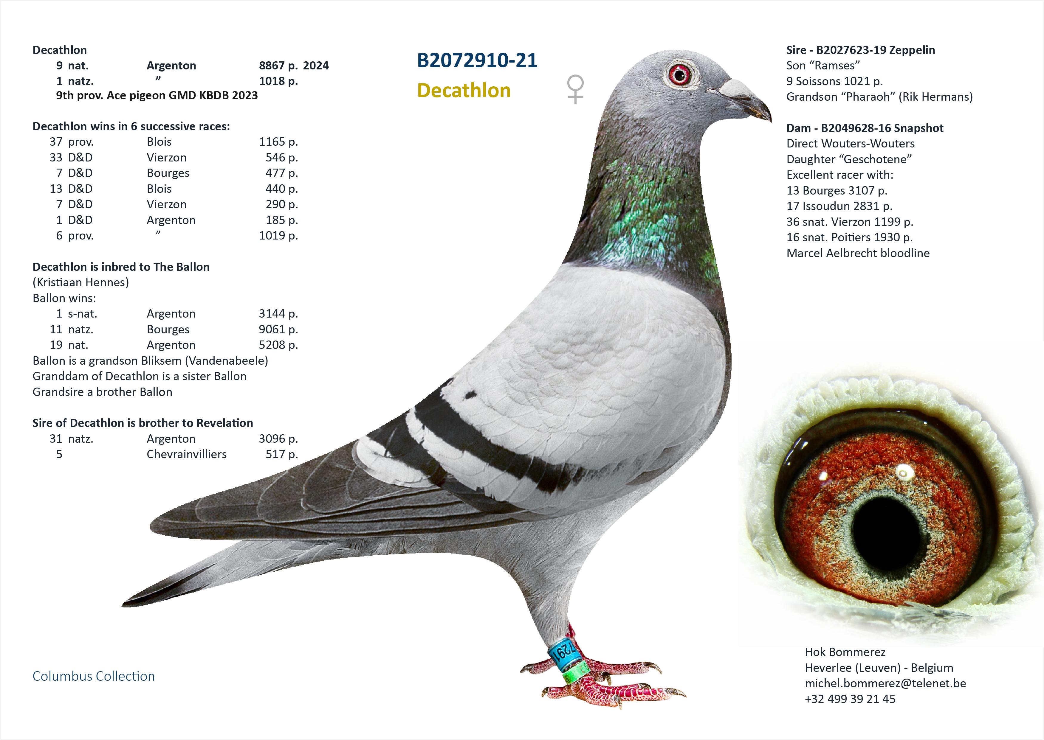 “Double A" uniek genotype: AA-CTCC - halfbroer 1 nat. zone Argenton 1018 d. (9 nationaal 8867 d.) - Familie