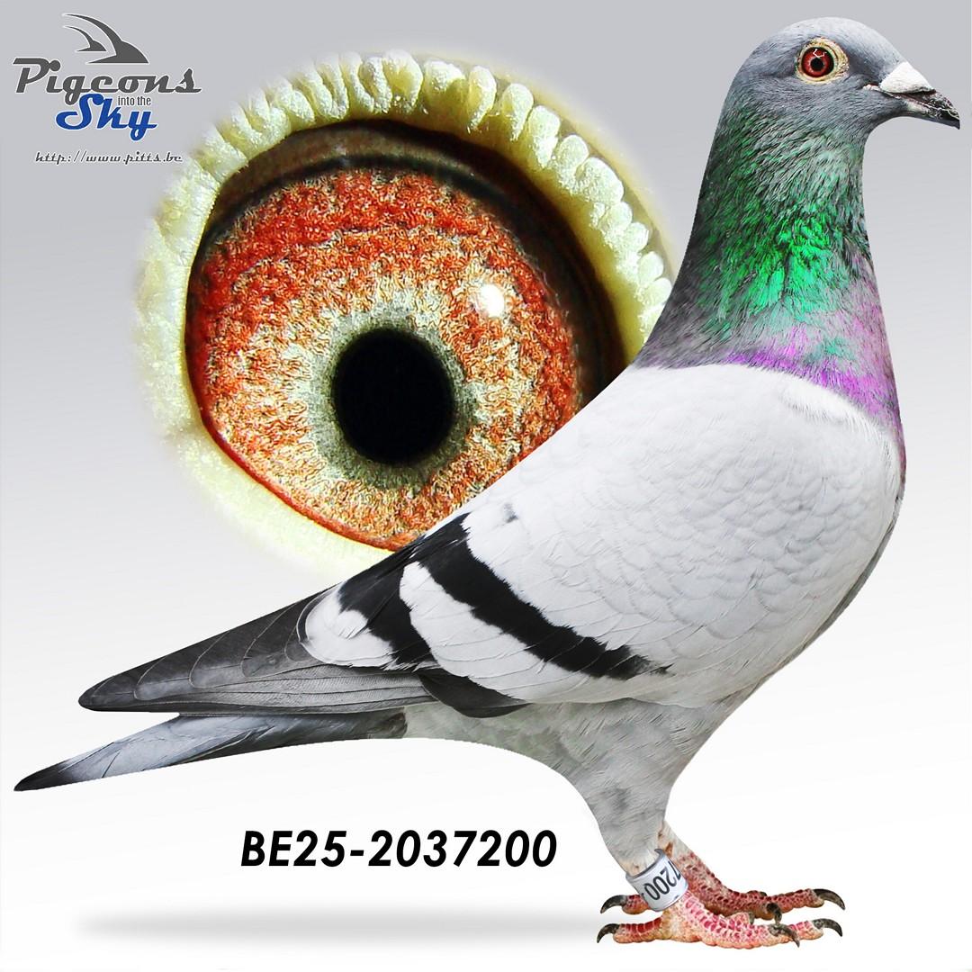 “Double Century" Zoon “Decathlon“ 1 nat.zone Argenton 1018 d. (9 nat. 8867 d.)