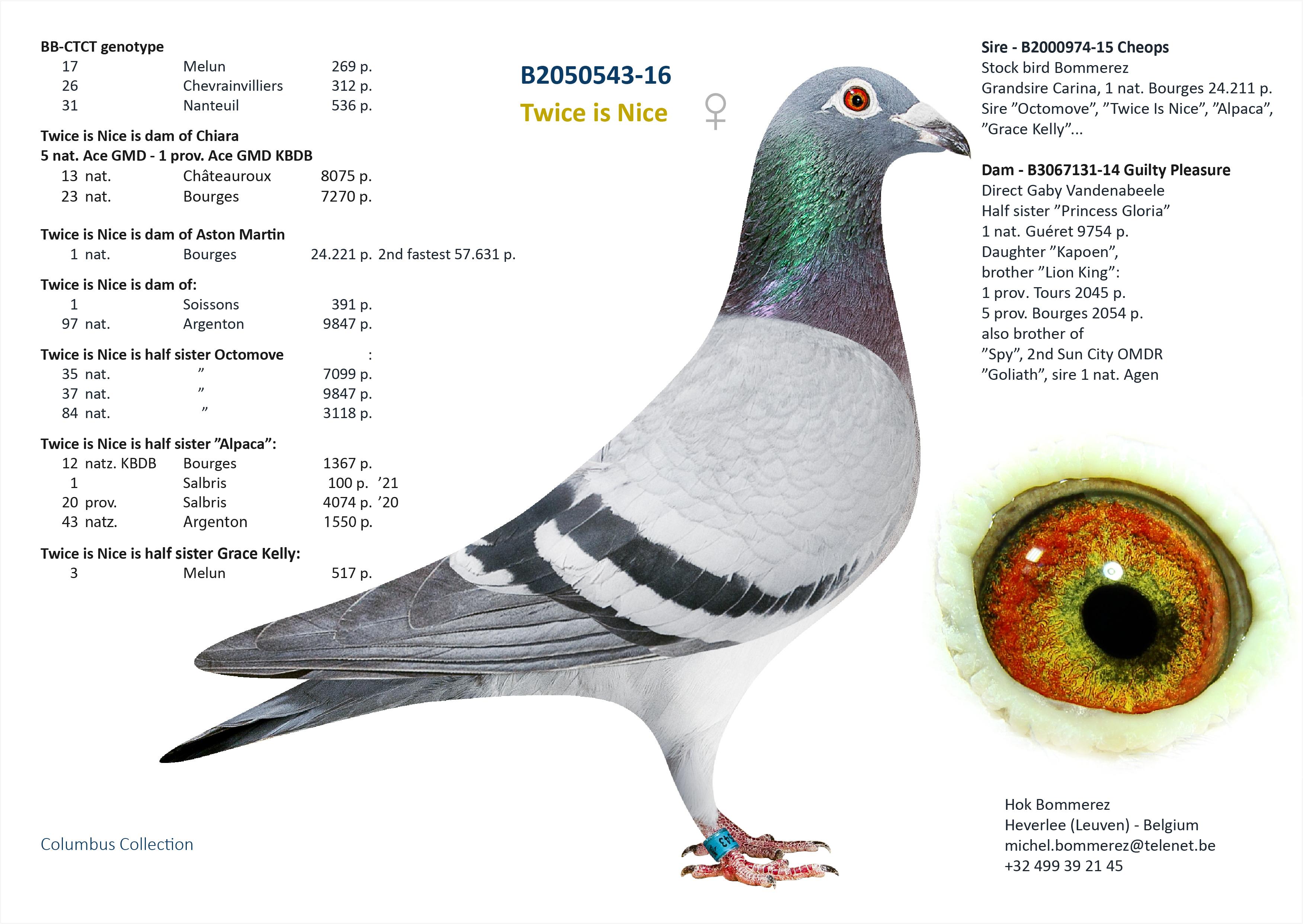“Samba", genotype BB-CCTT , halfzus 5 nat. Asduif. KBDB GHF; halfzus 1 nat. Bourges - Familie