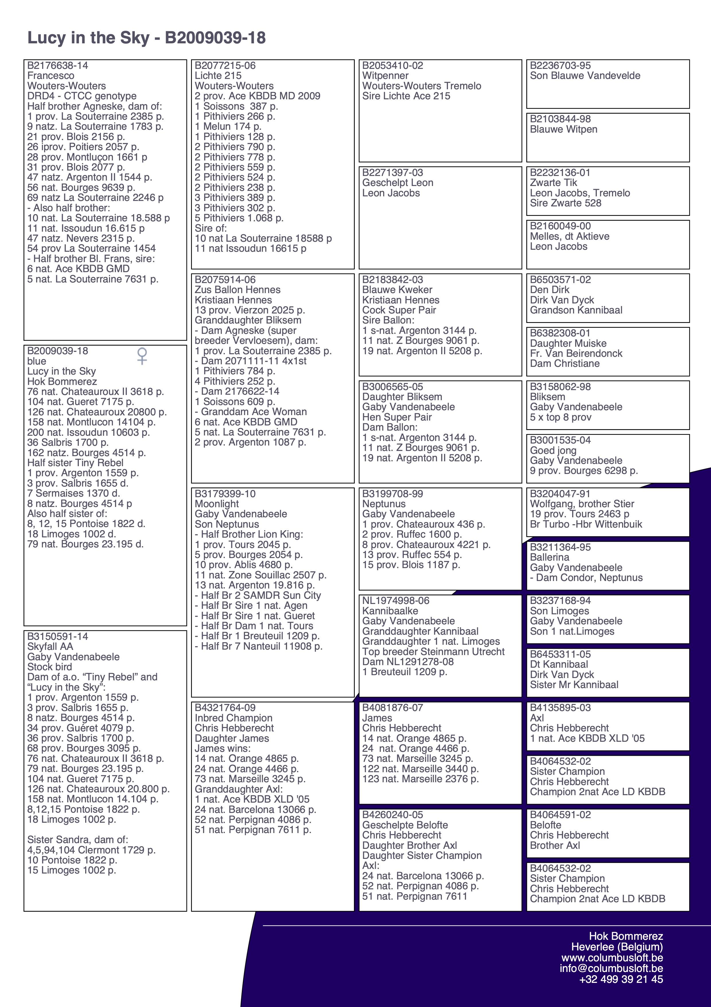 pedigree “Lucy in the Sky” vloog 5 x top 200 nationaal - halfzus Tiny Rebel (1 prov. BU Argenton) - genotype AB-CCCC 