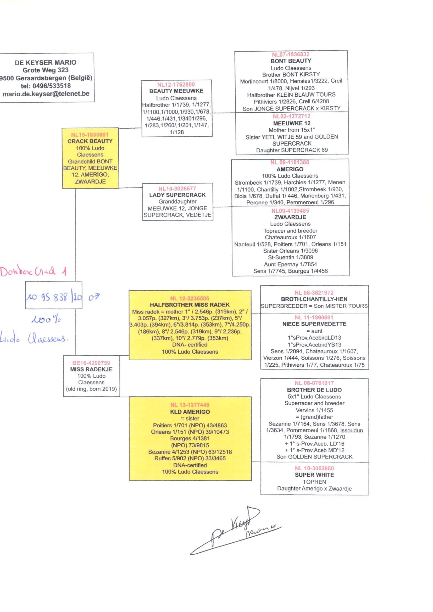 pedigree Crack Beauty x Miss Radek 