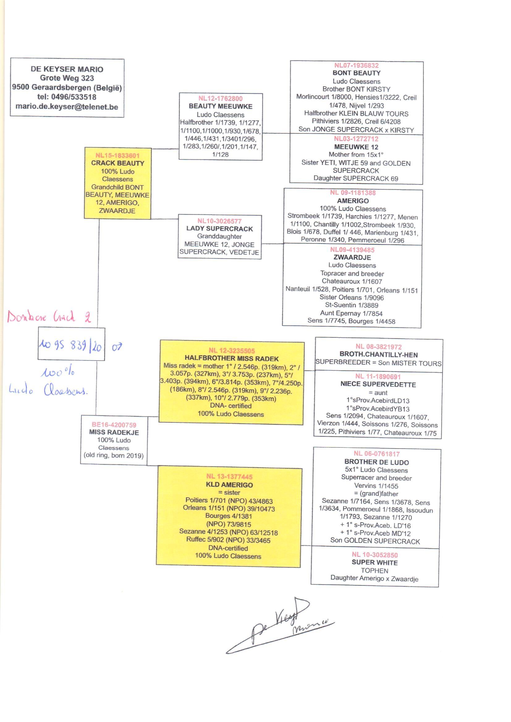 pedigree Crack Beauty x Miss Radek 