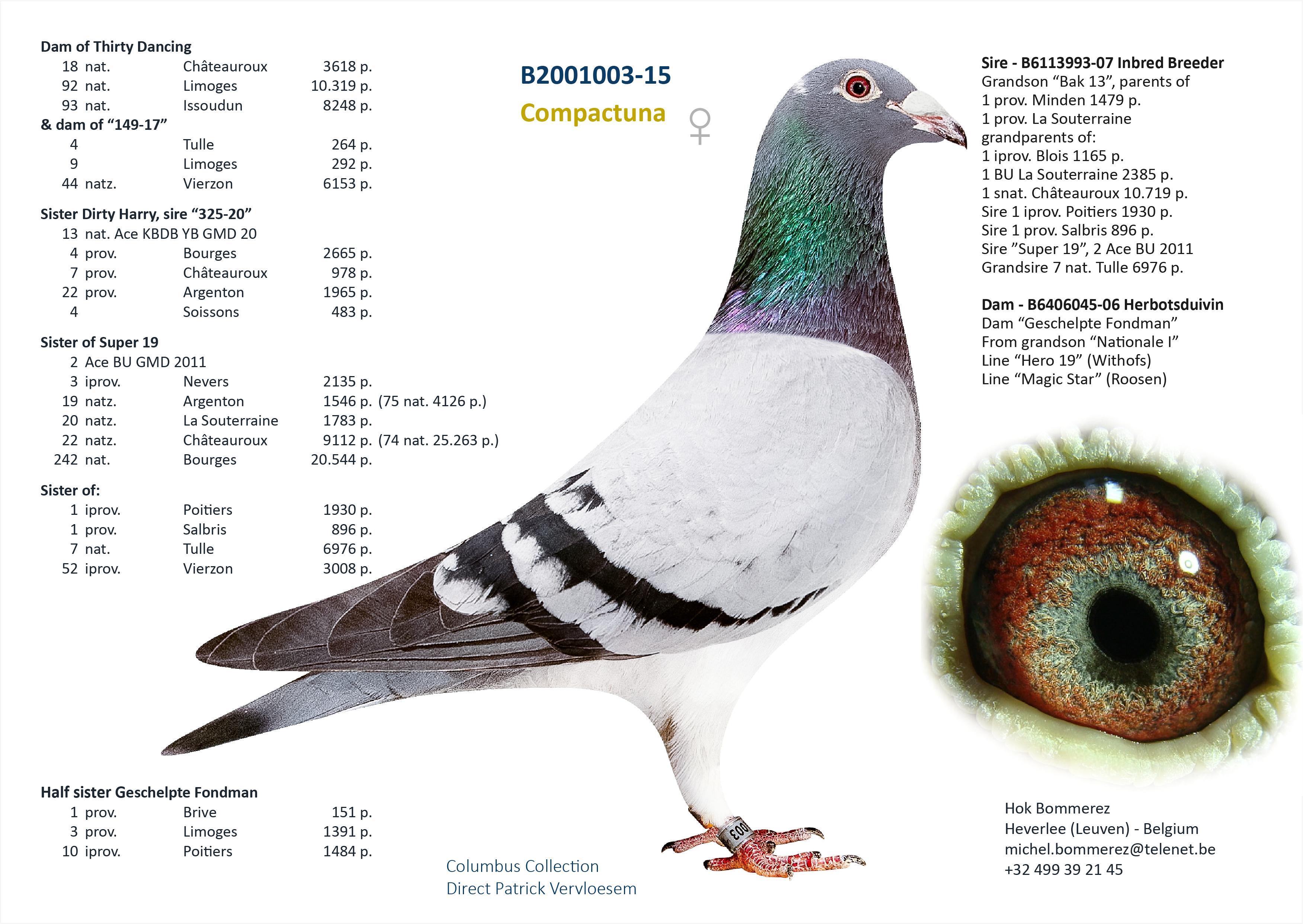 “Claudia Schiffer", CTCC genotype, wint 6 prov. Blois 1196 d. en 9 prov. Limoges 439 d. maar ook 46, 60, 87, 98, 115, 119 en 135 nat. zone GHF - Familie