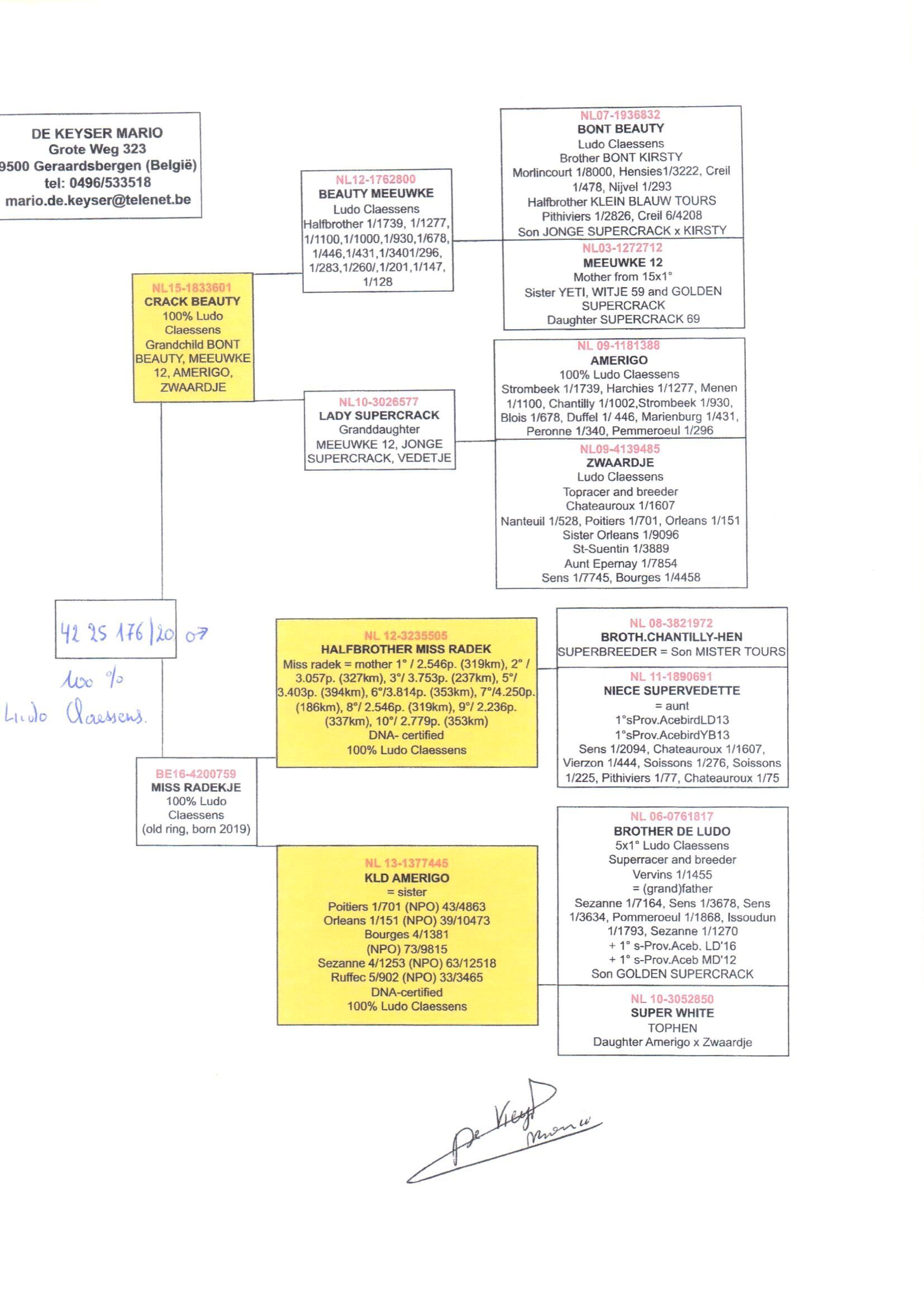 pedigree Crack Beauty x Miss Radek 