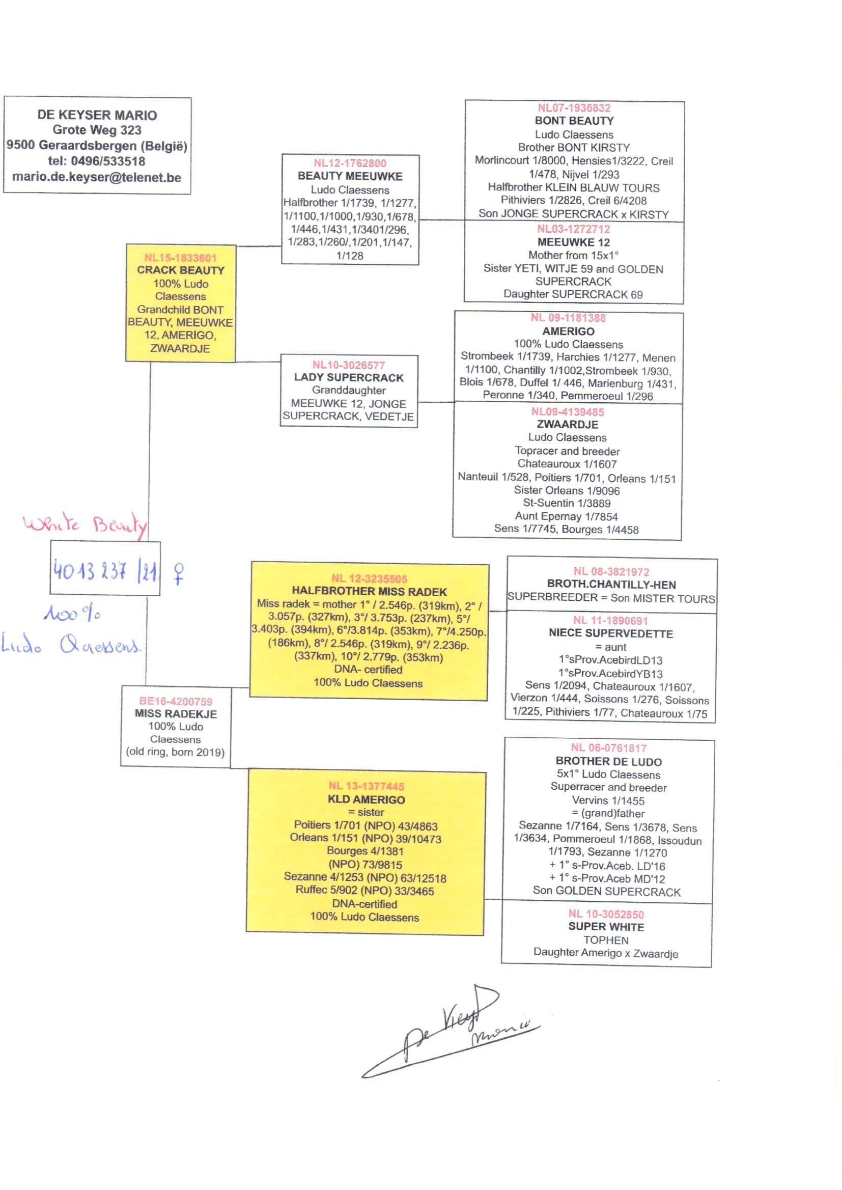 pedigree Crack Beauty x Miss Radek 