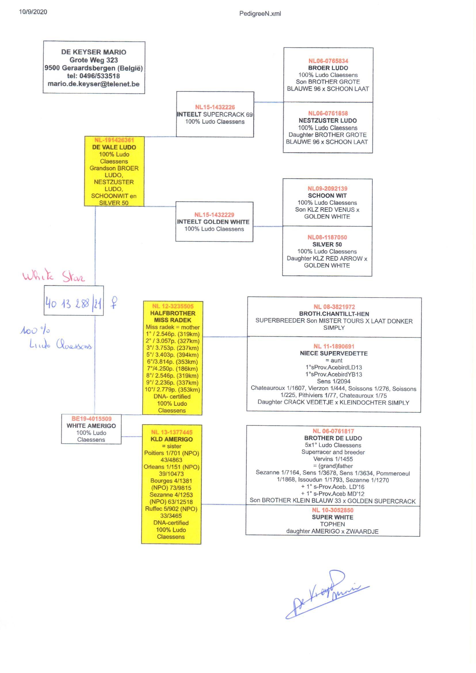 pedigree De Vale Ludo x White Amerigo 