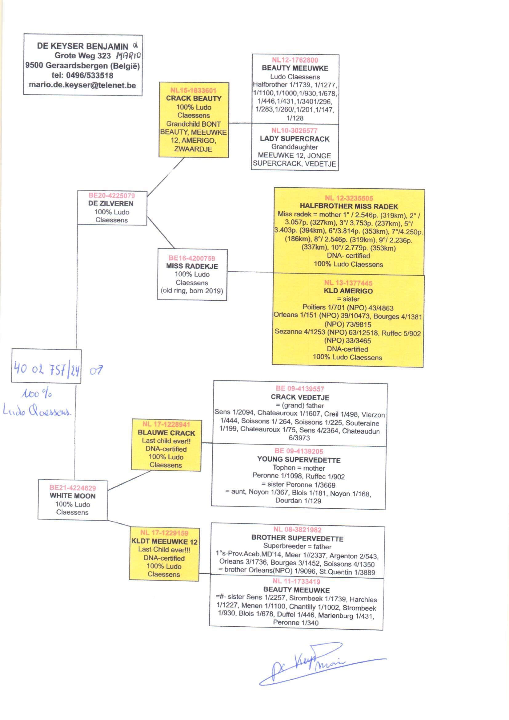 pedigree De Zilveren x White Moon 