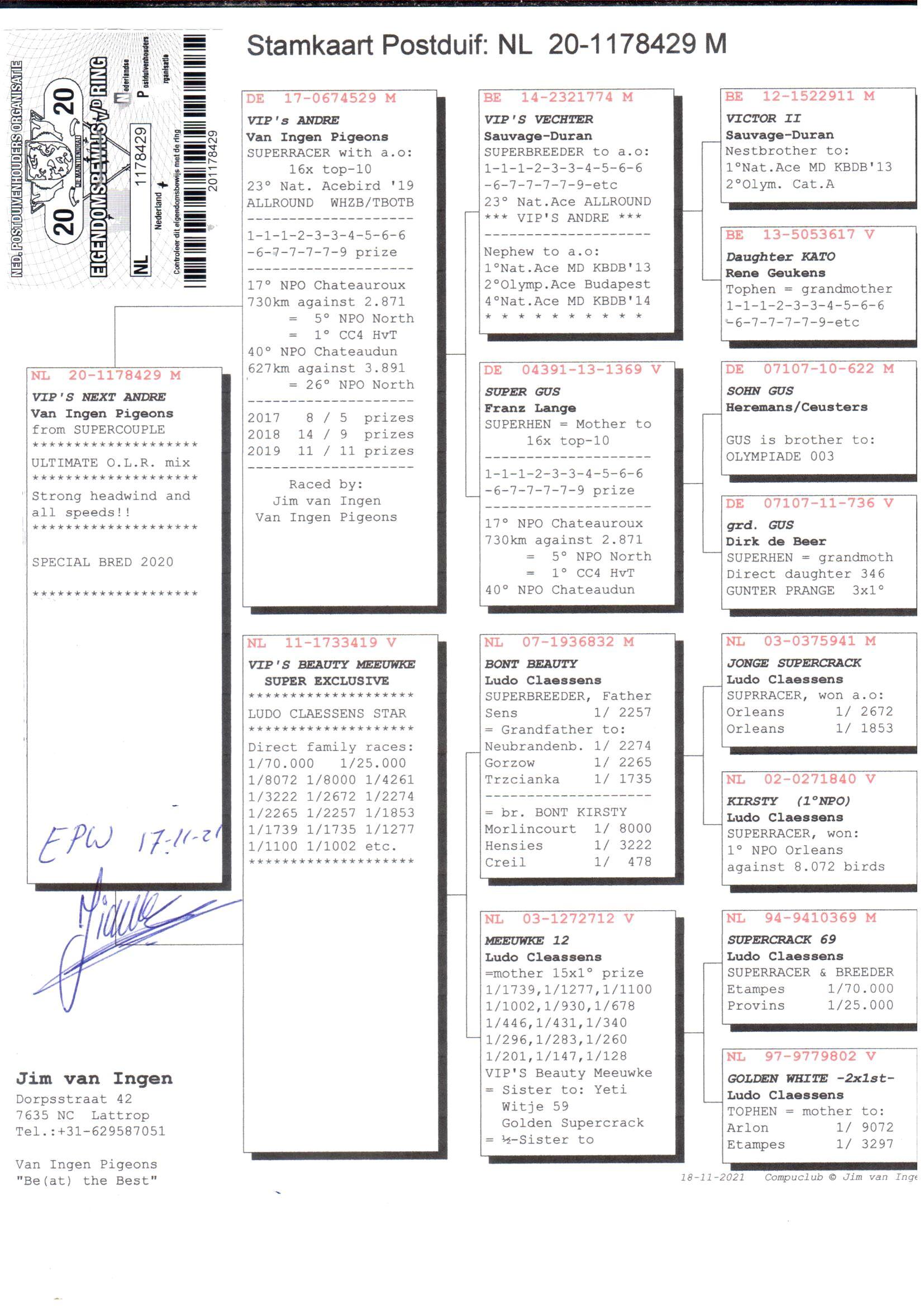 pedigree Vip’s Next Andre - Grandson "Meeuwke 12" Ludo Claessens