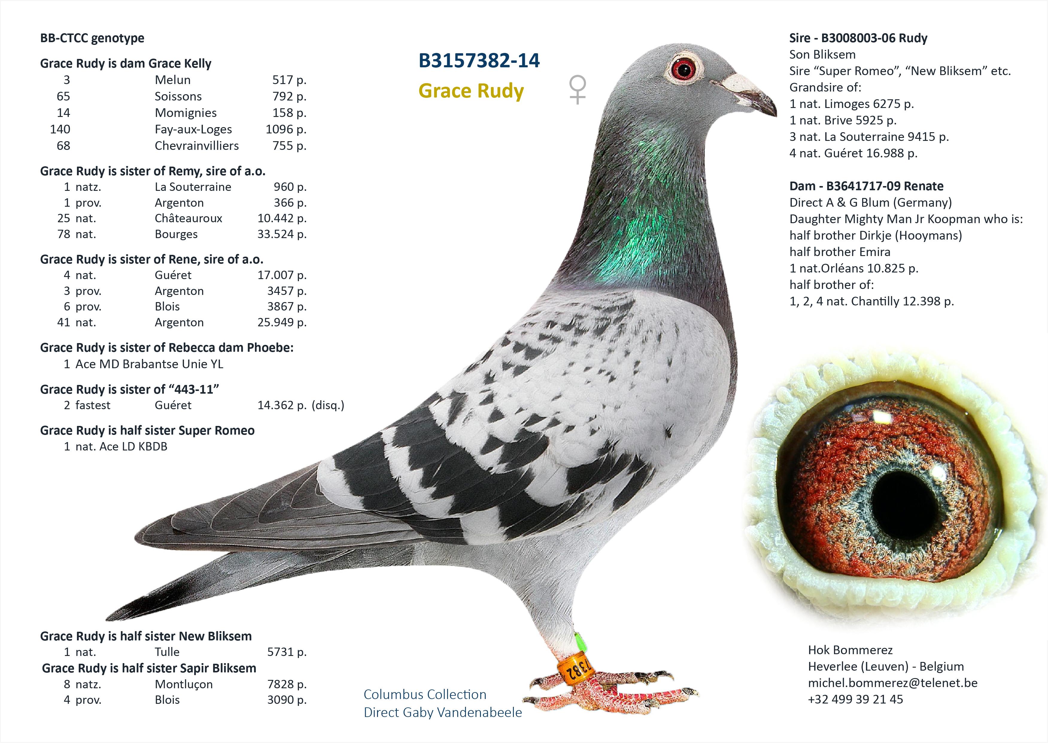 “Gracioso Hugo” - supergenen CTCT - halfbroer 11x top 20 provinciaal - kleinzoon Magic Dries - Familie