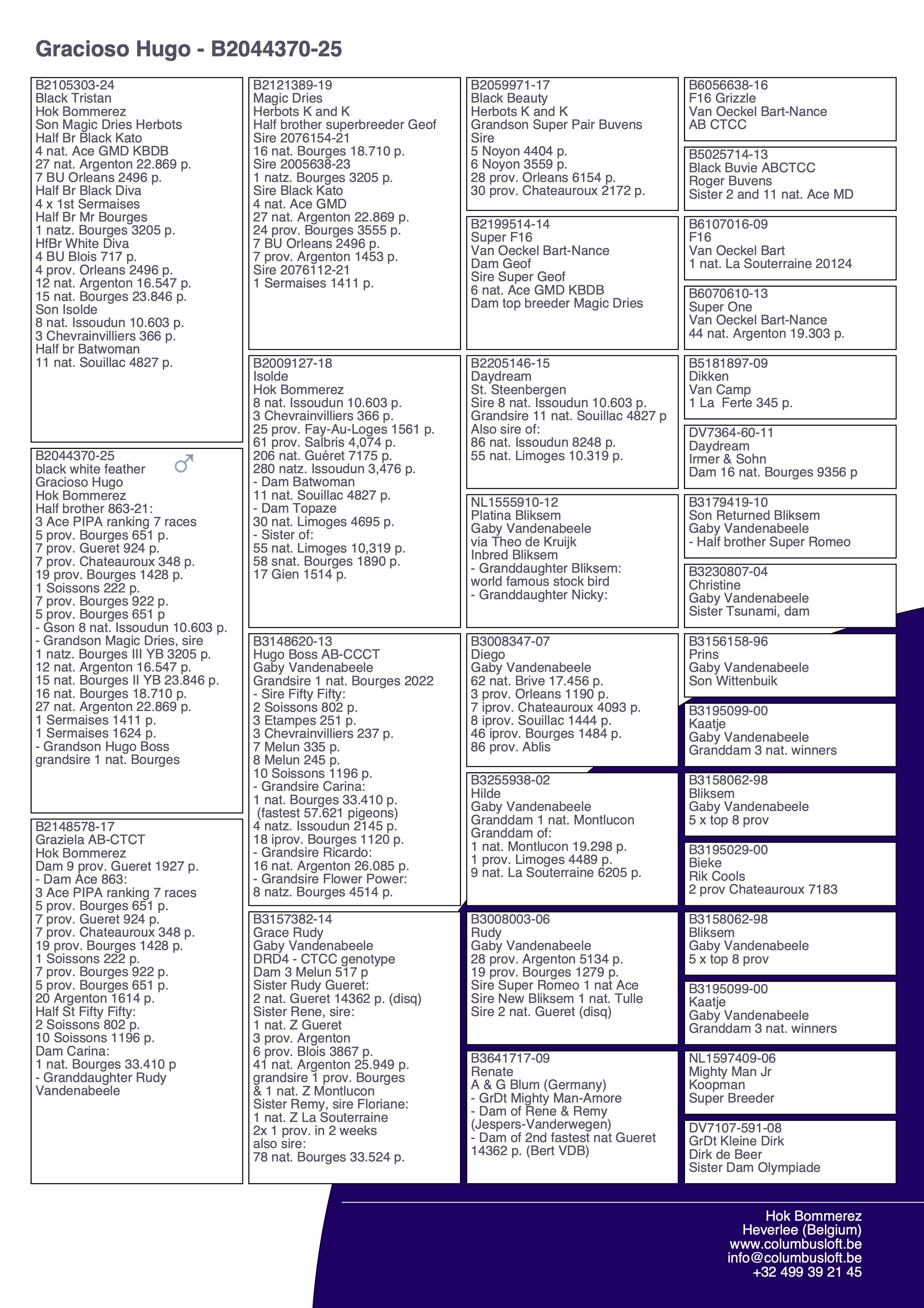 pedigree “Gracioso Hugo” - supergenen CTCT - halfbroer 11x top 20 provinciaal - kleinzoon Magic Dries
