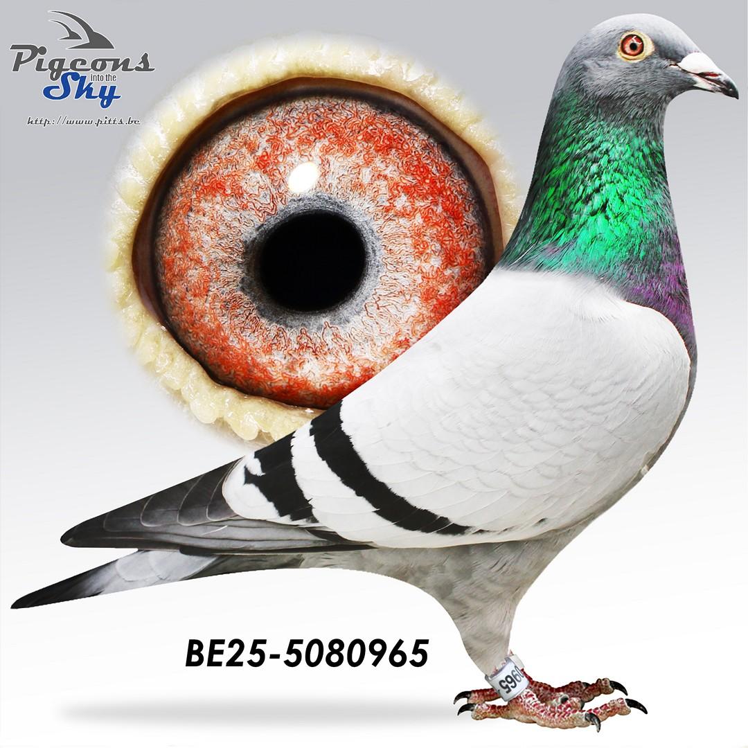 Zoon Rambo x Dochter Laura