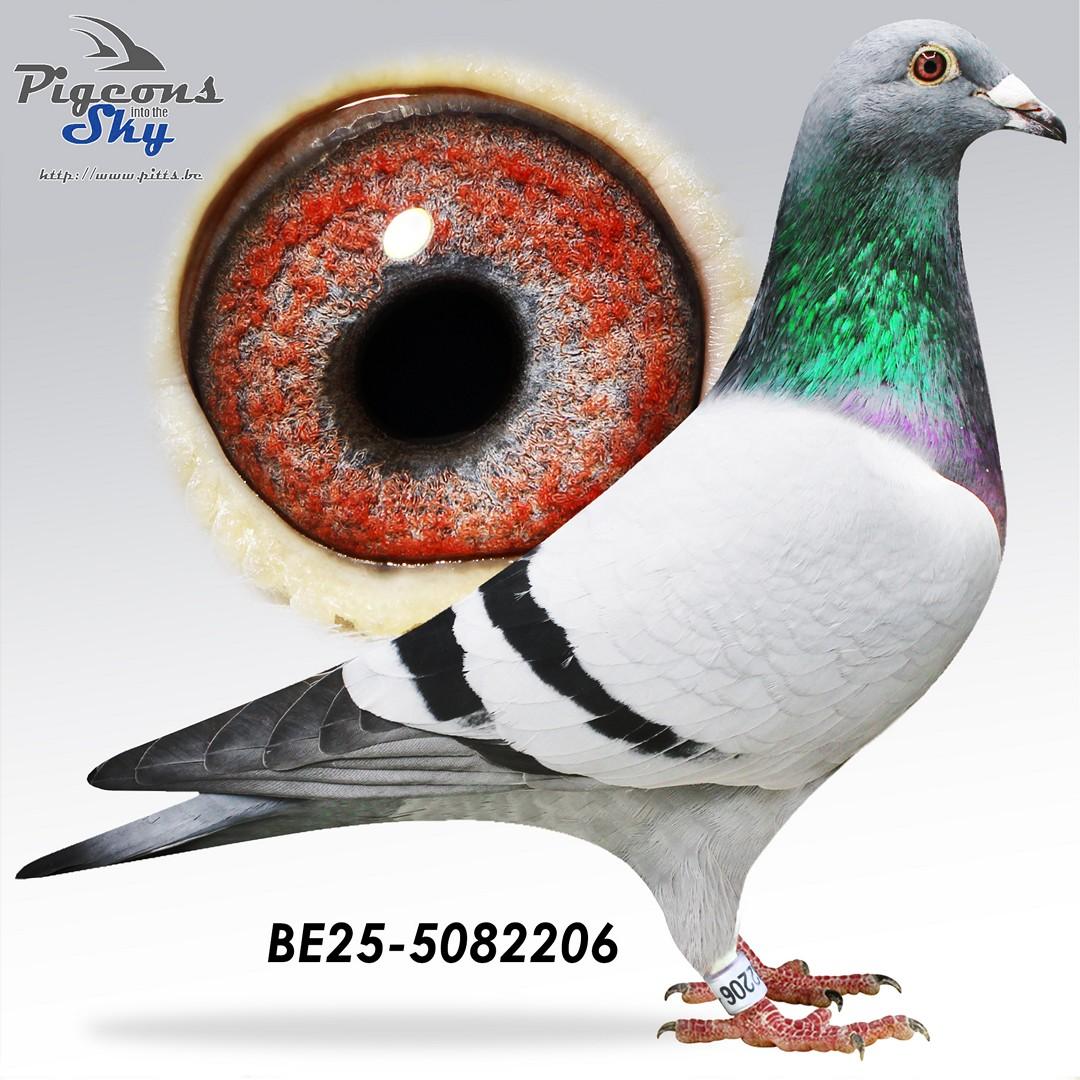 Lijn Heremans Leo x Dochter Tieke 