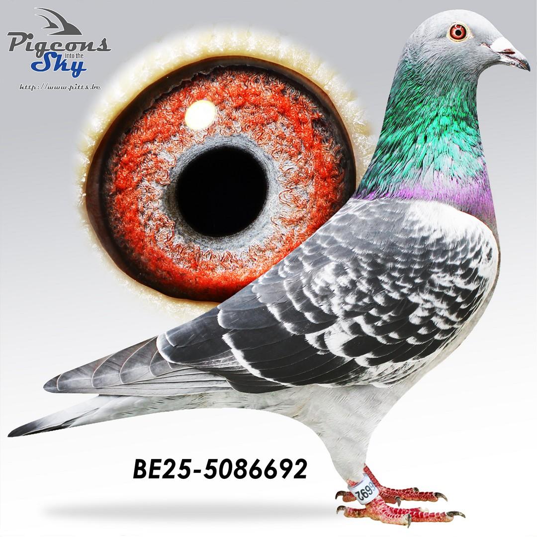 Lijn De Bruijn Willem x 1° As Fond MKFV ’21 