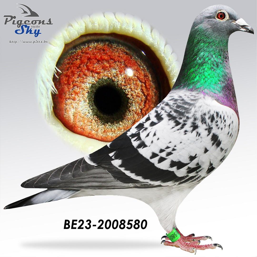 “Mantessa", volle zus 2 prov. Bourges 1478 d. - 6 prov. Blois 863 d. - 7 nat. zone  Châteauroux 1208 d.