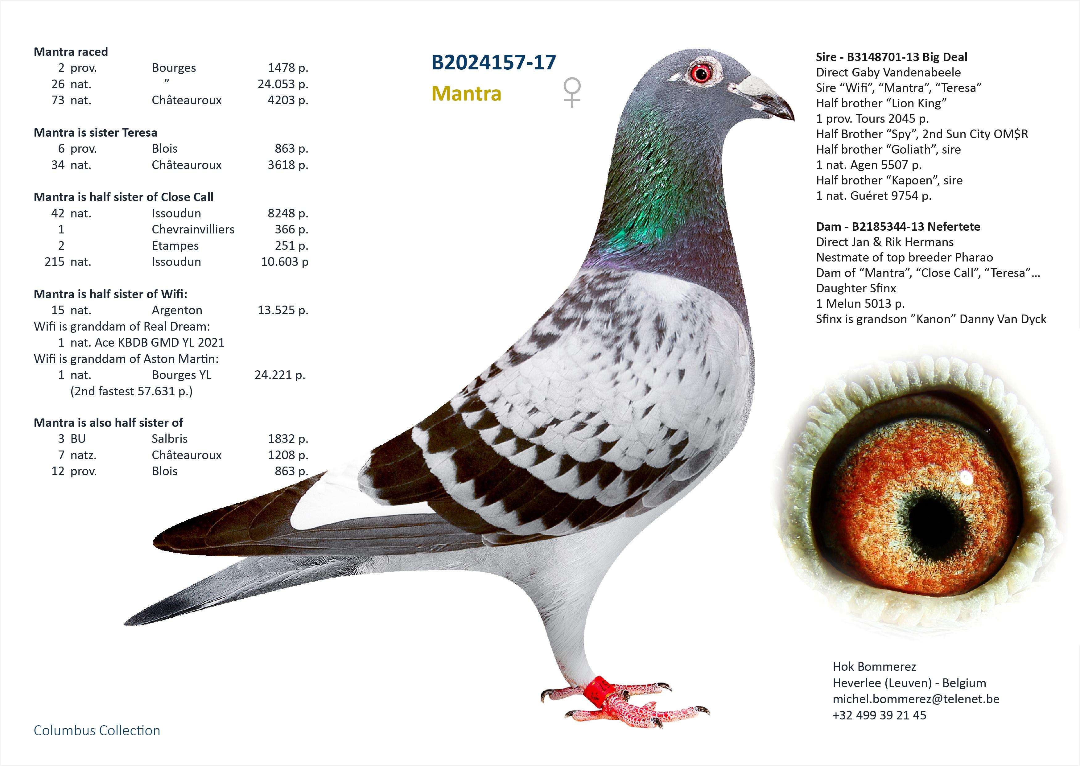 “Mantessa", volle zus 2 prov. Bourges 1478 d. - 6 prov. Blois 863 d. - 7 nat. zone  Châteauroux 1208 d. - Familie