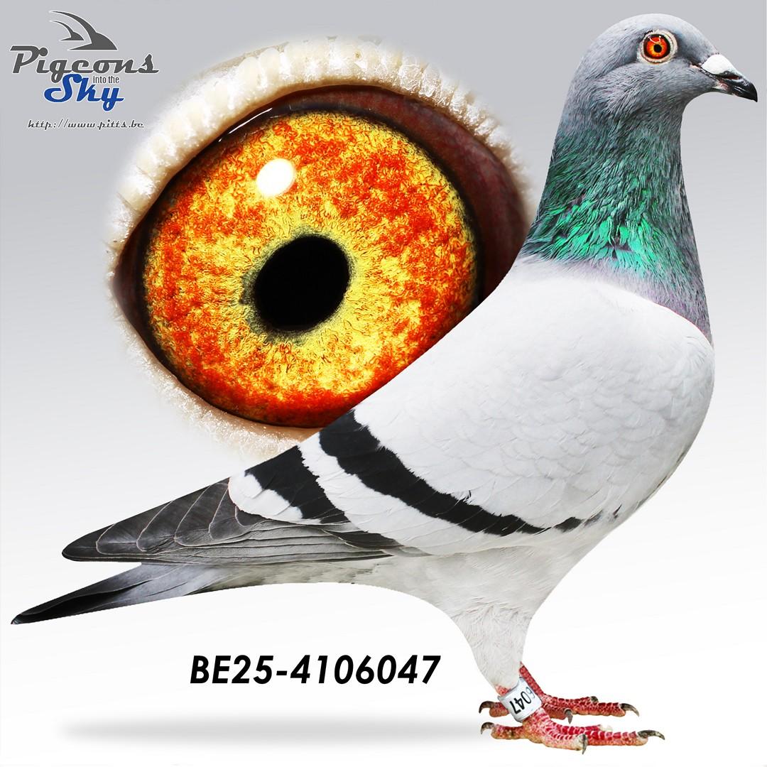 Michel Jarnac x Beauty Evita 