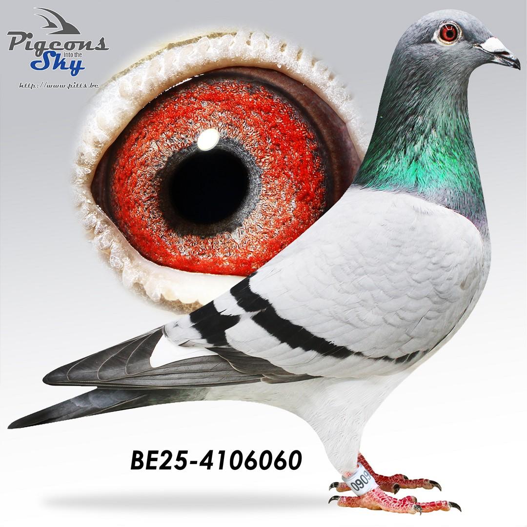 Mexence x Daughter Evita 