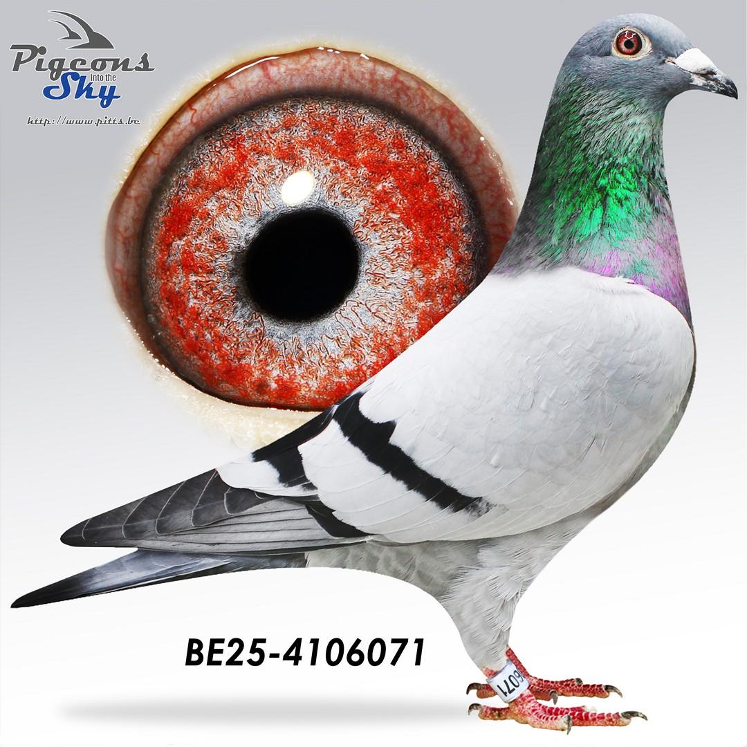 Mexendre x Daughter Evita 