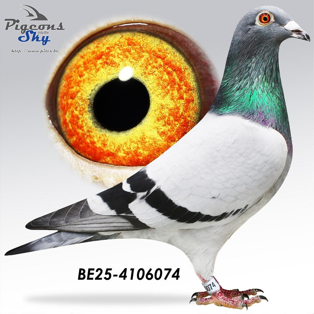 Michel Jarnax x Beauty Evita 