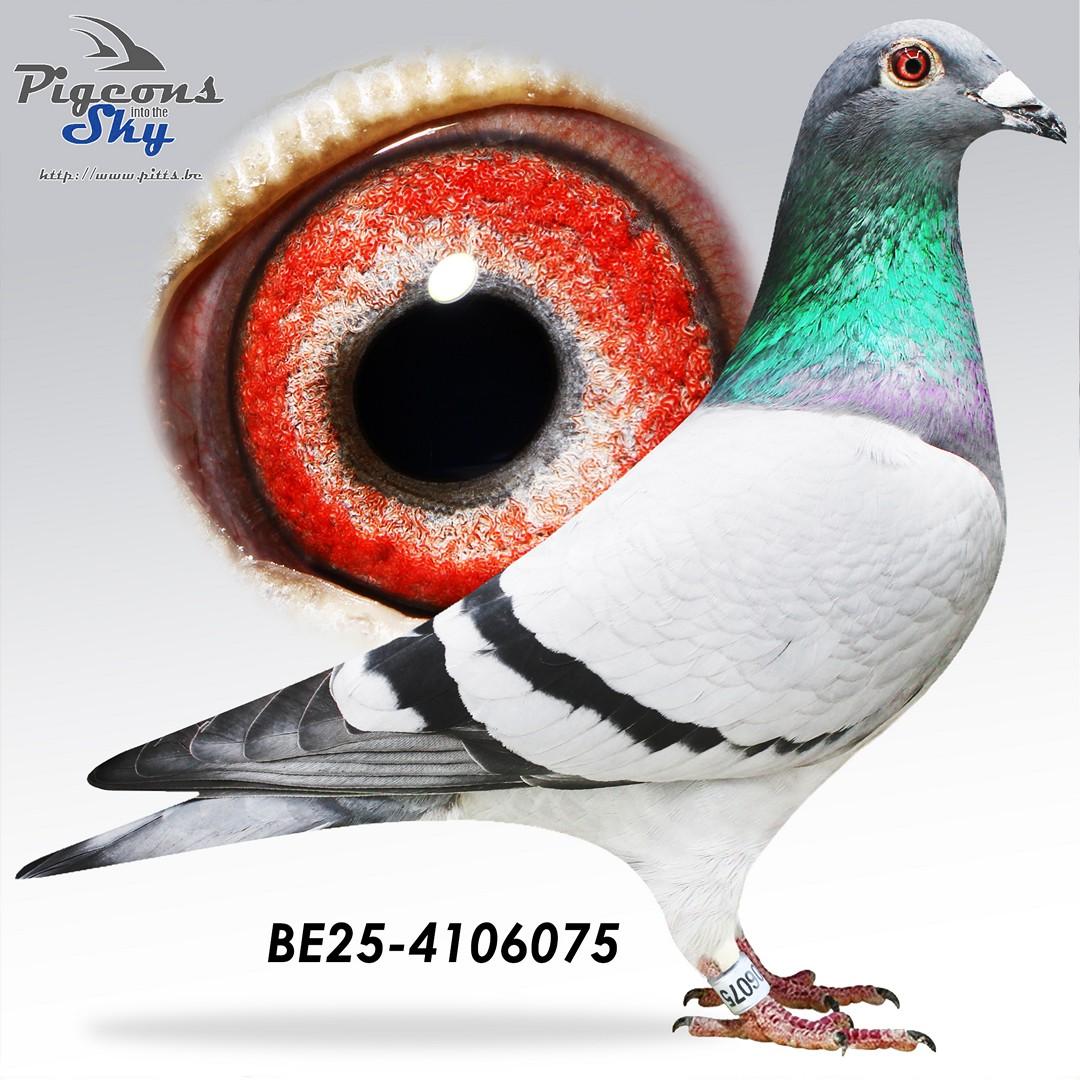 Mexence x Daughter Evita 